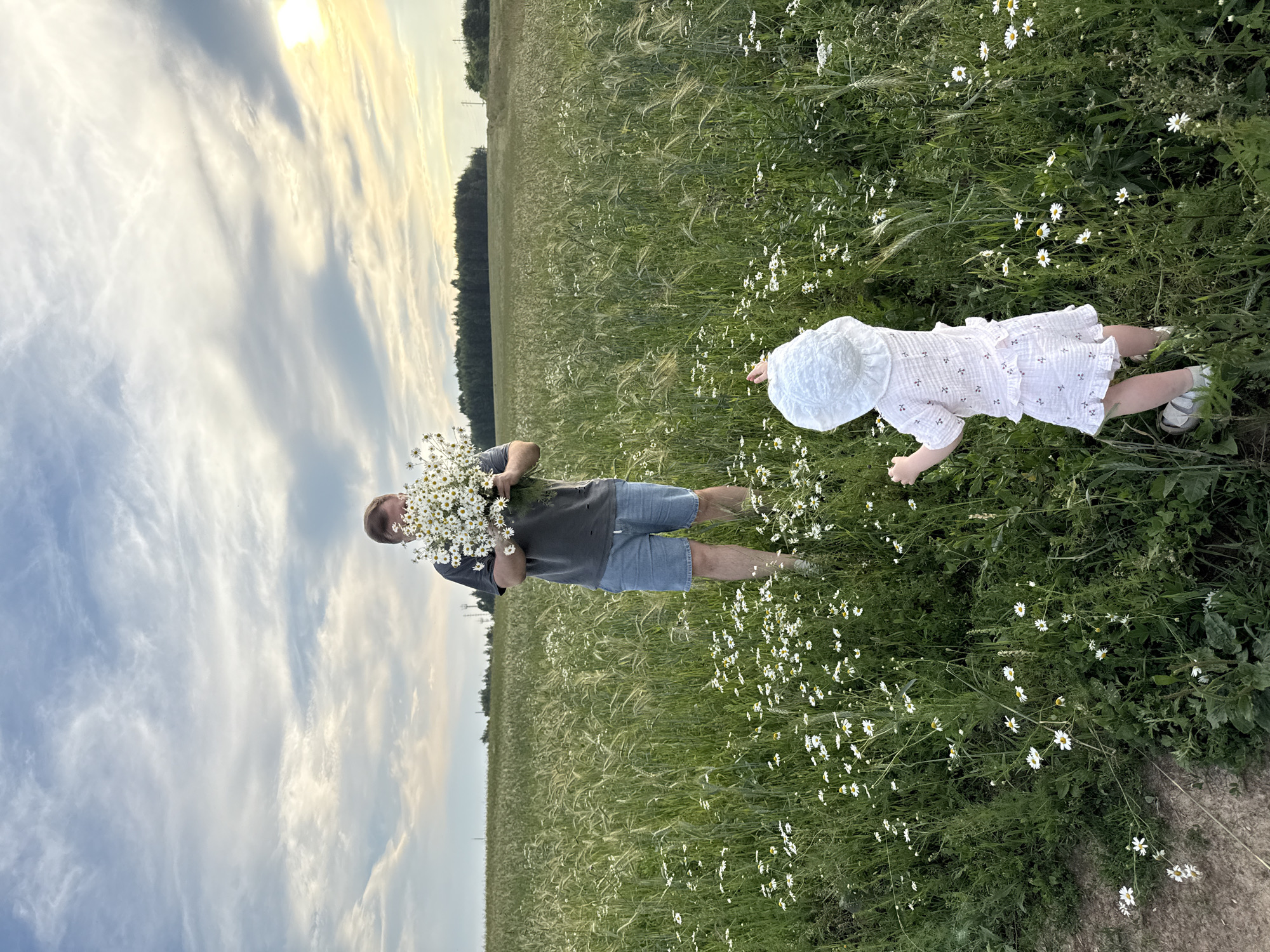 Afternoon in a daisy field in Snovitsy, Russia.