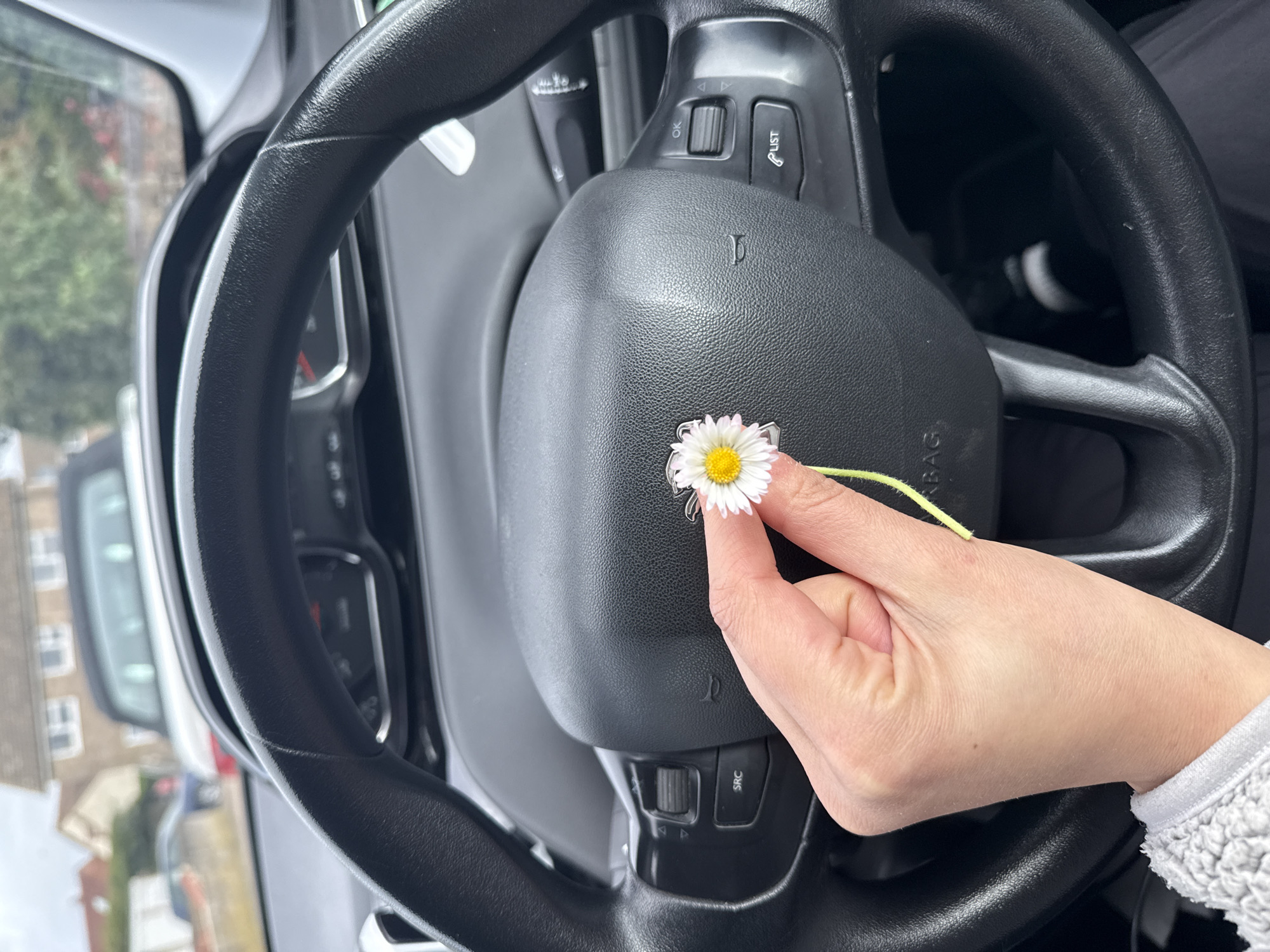 Driver holds daisy flower inside car in Gorleston-on-Sea
