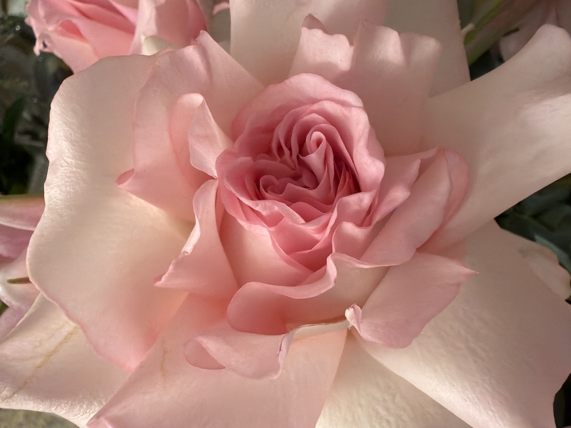 Inside a florist or event space, luxury arrangements and décor on display