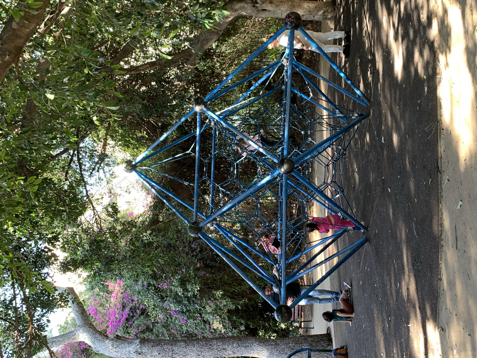 Ordinary Tel Aviv moments: playgrounds, parks, cats, markets documented