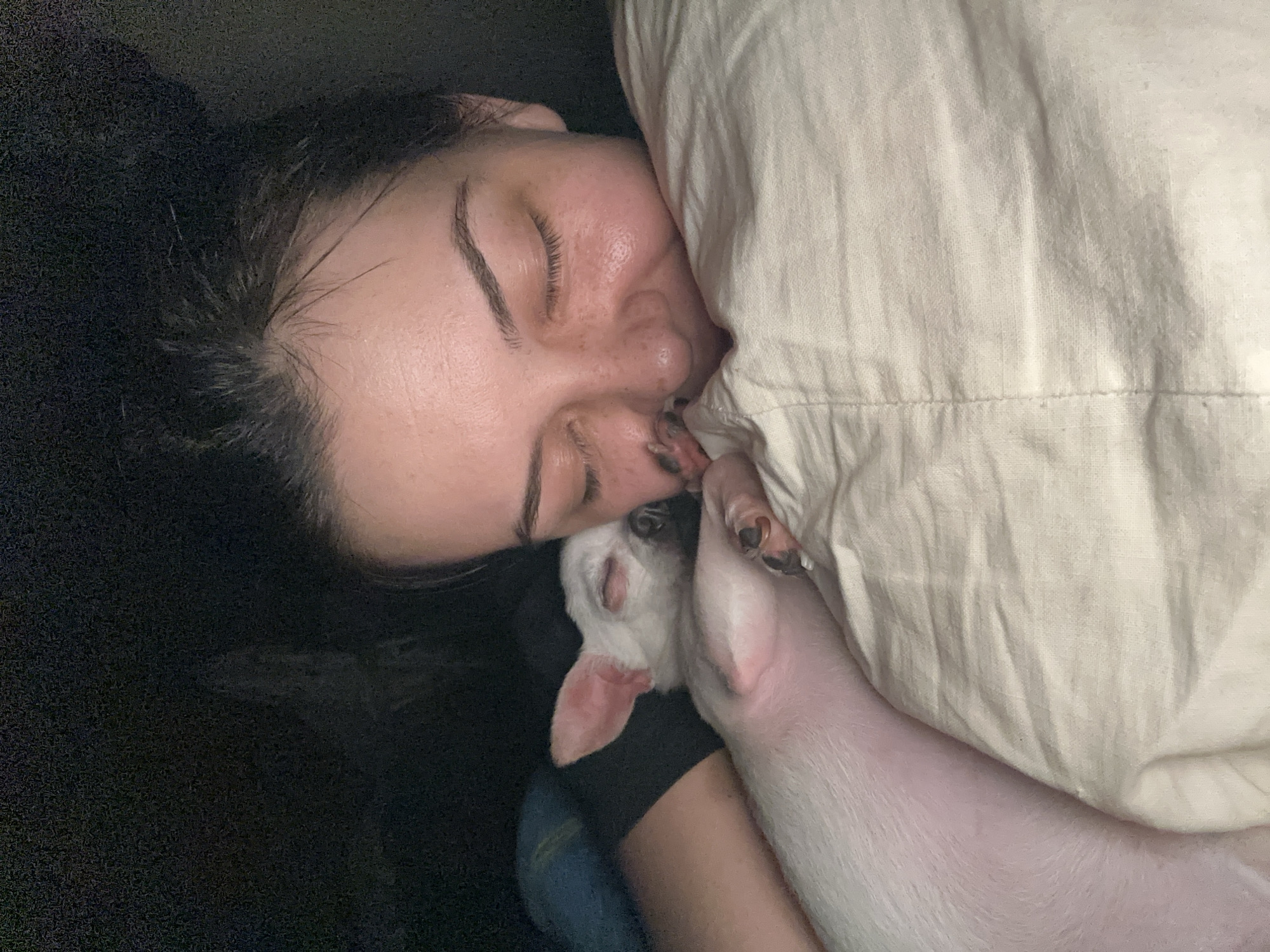 Woman and white dog rest together in Skala bedroom