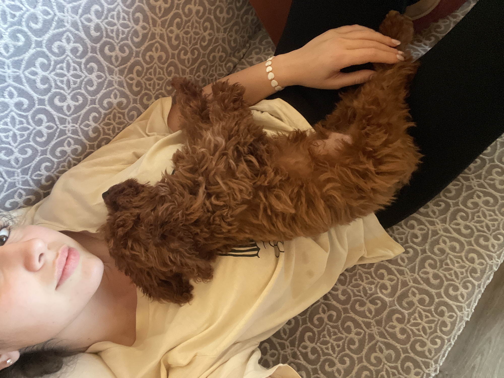Sofia resident documents puppy playtime and fresh bread baking