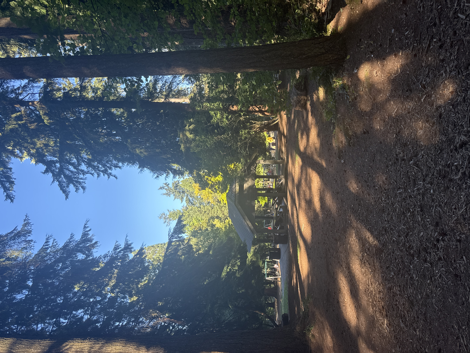 Strolling through an evergreen park and neighborhood streets in New Westminster