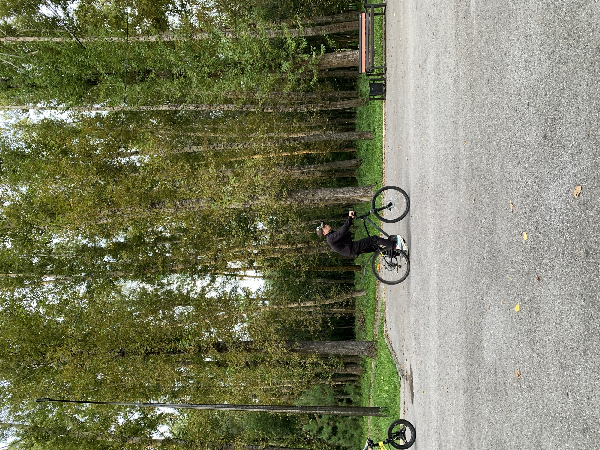 Afternoon activity at a Prokopyevsk park and sports complex