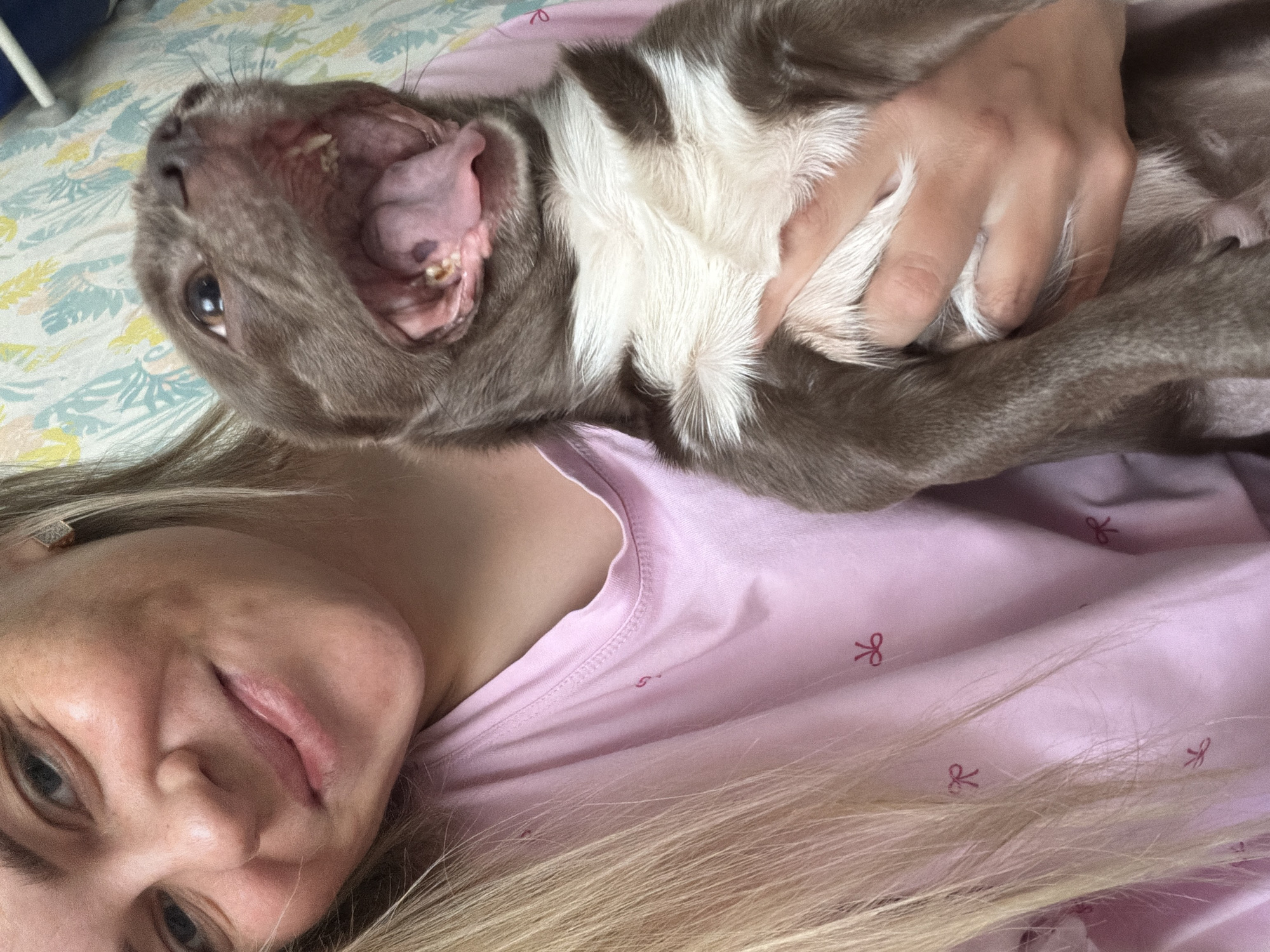 Woman cuddles French Bulldog in bedroom photos, Votkinsk Russia