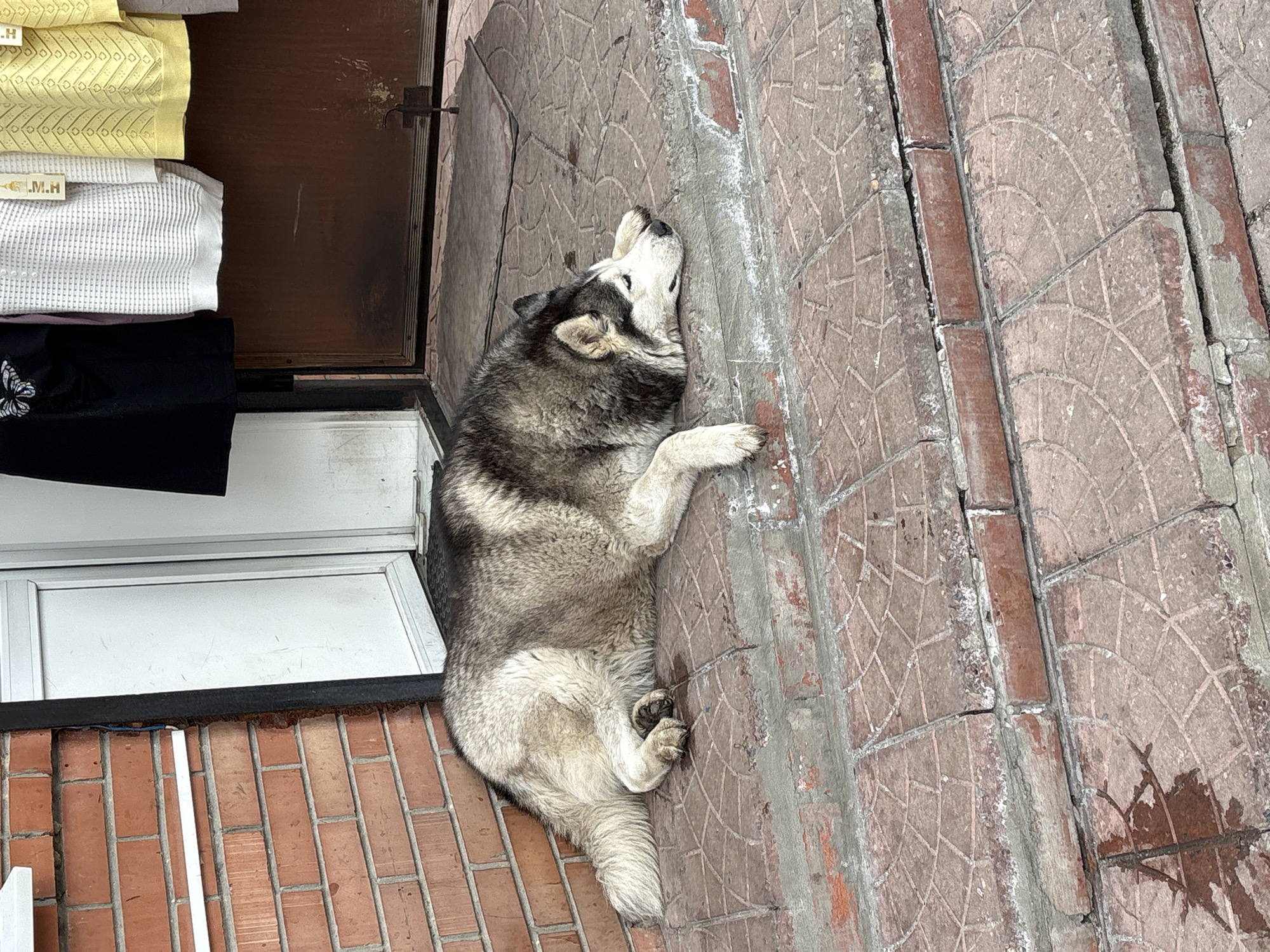 Daily life scenes captured in Ulyanovsk, Russia