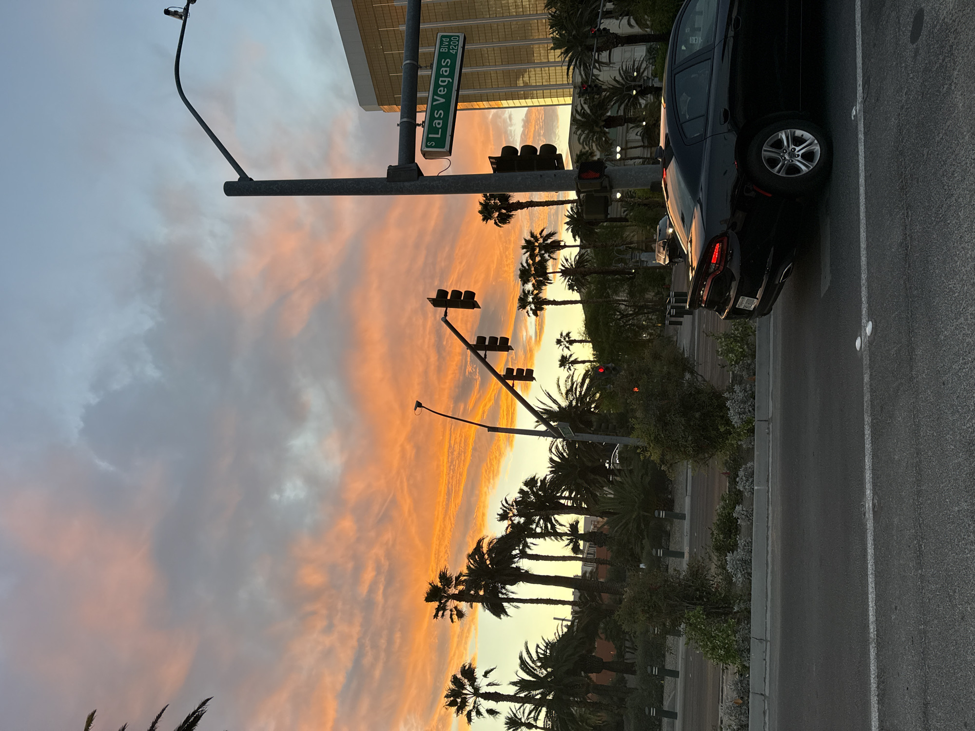 Vibrant sunset illuminates Las Vegas Boulevard palm trees