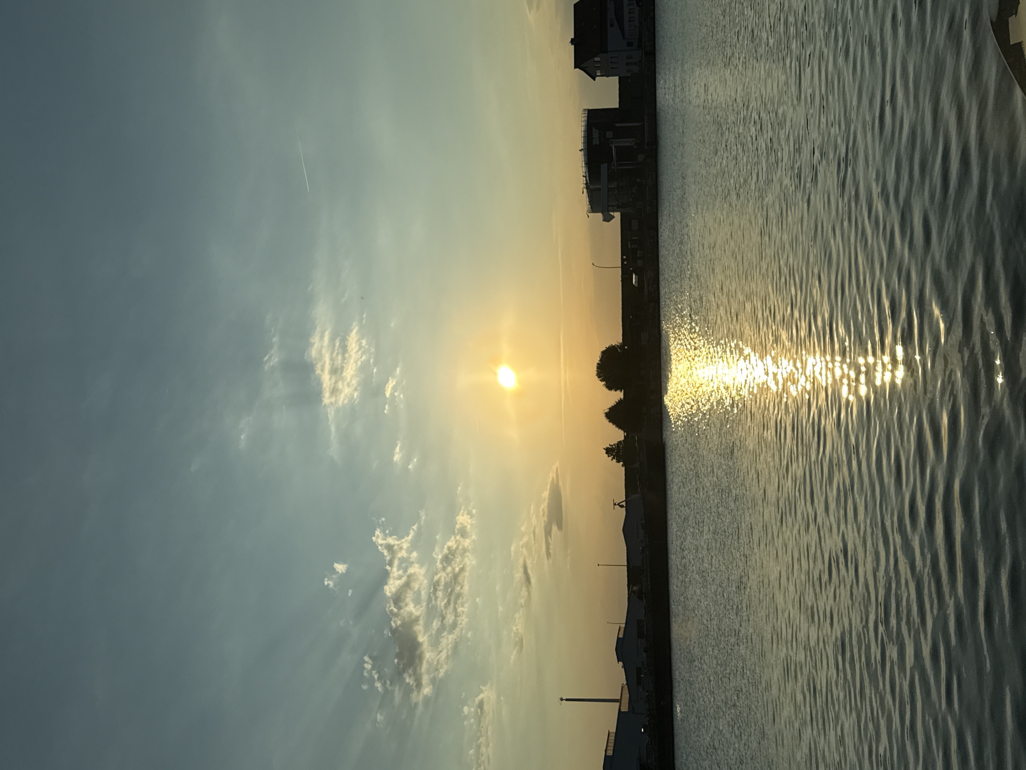 Golden sunset over a waterway, bird resting on rippling water