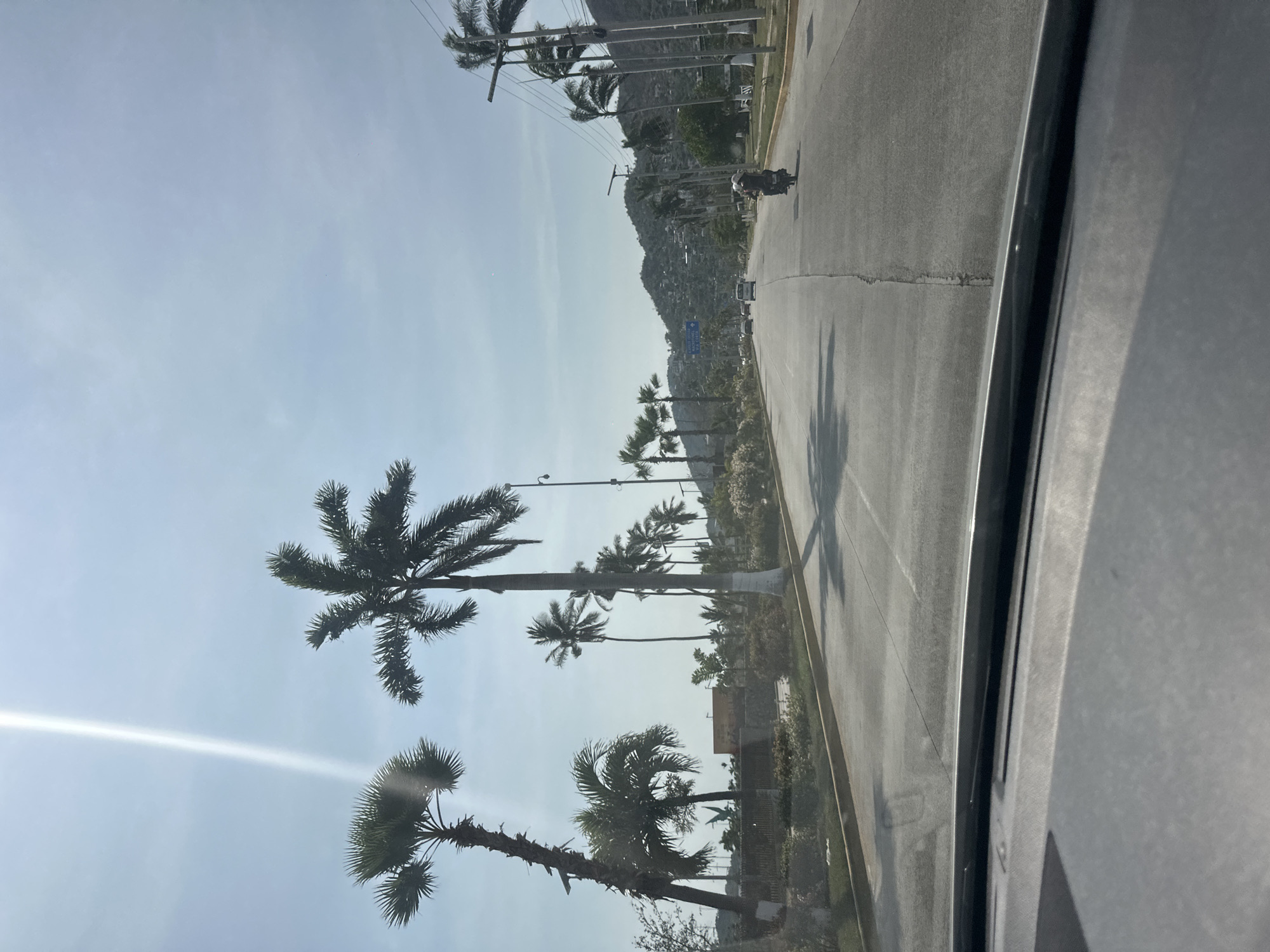 Evening drive along palm-lined road in Puerto Marqués