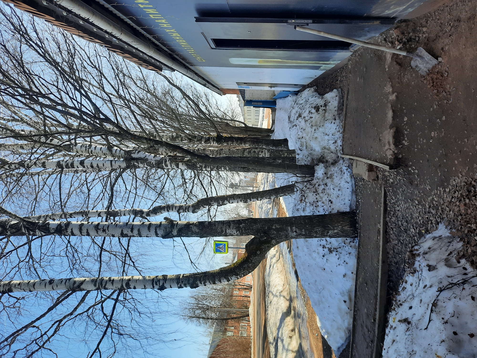 Winter street scenes documented in Krasnogorskoye, Russia