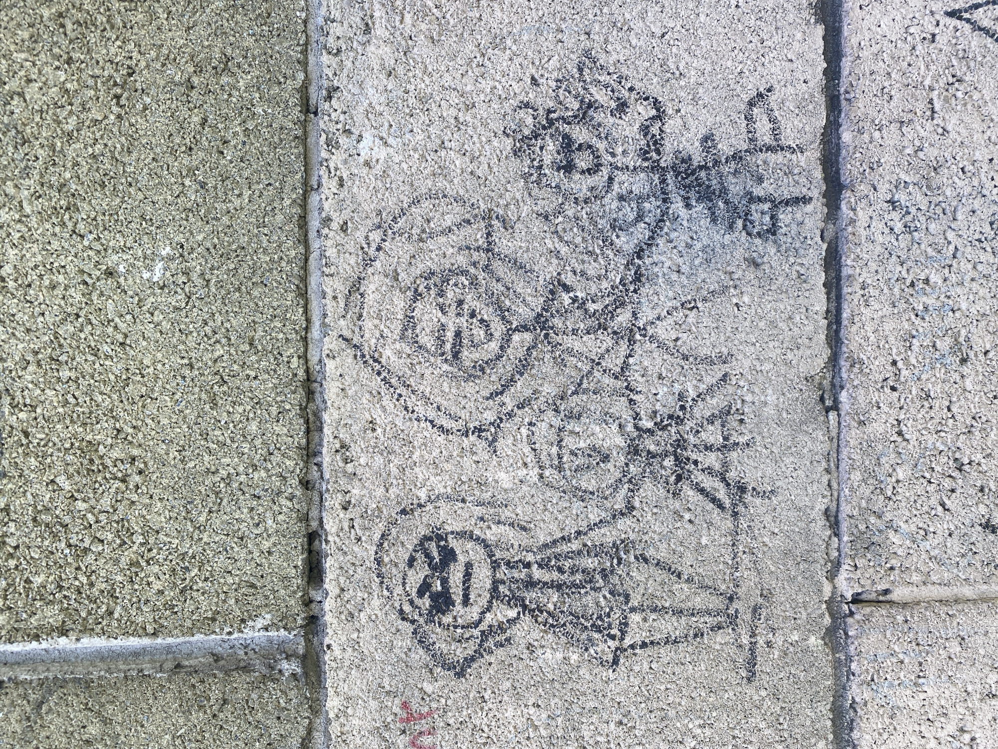 Chalk drawings and park details in a Kamianske neighborhood