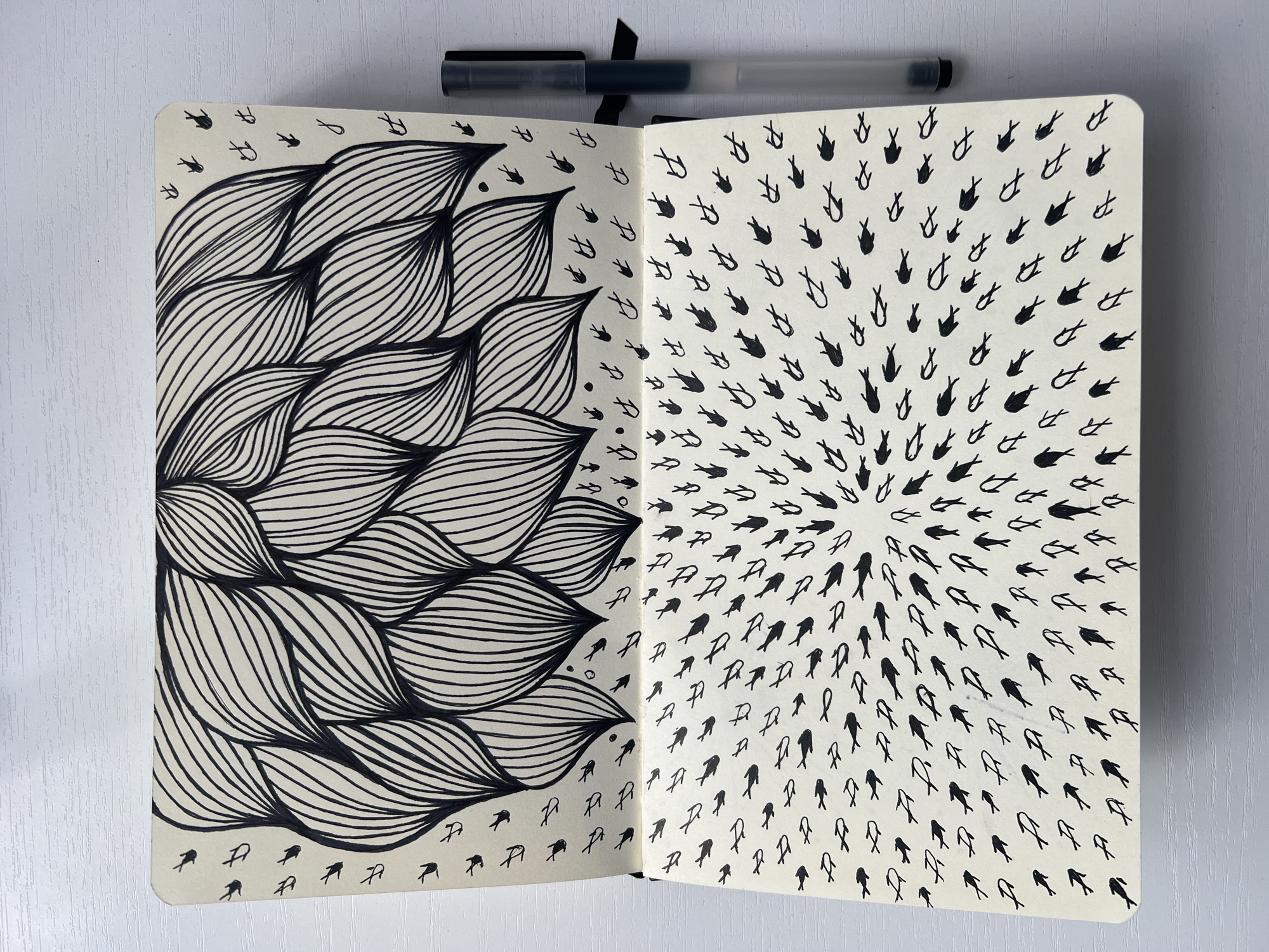 Artist's sketchbook with flower and fish drawings observed in Yessentuki