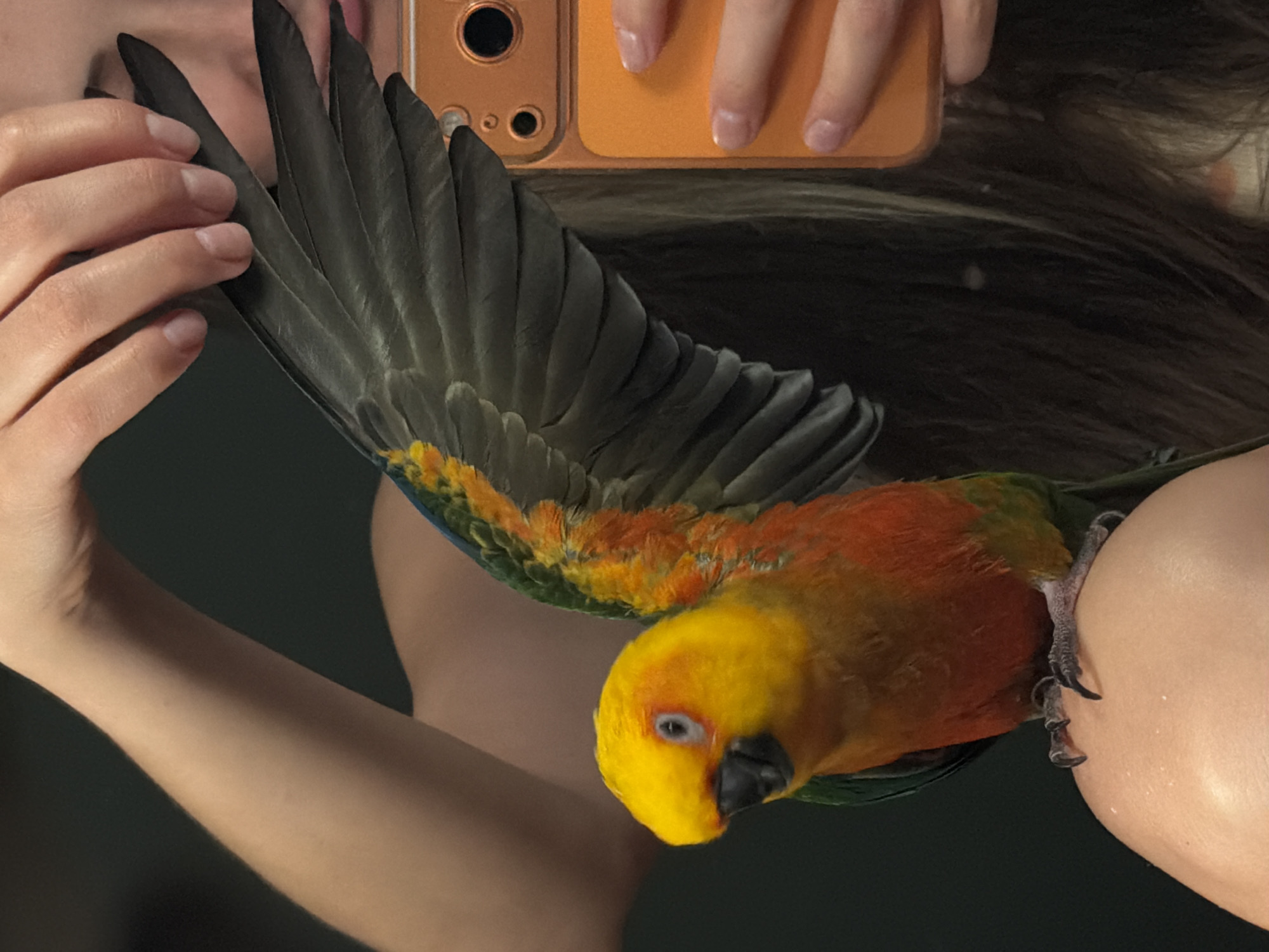 Girl poses with colorful sun conure parrot in Khimki
