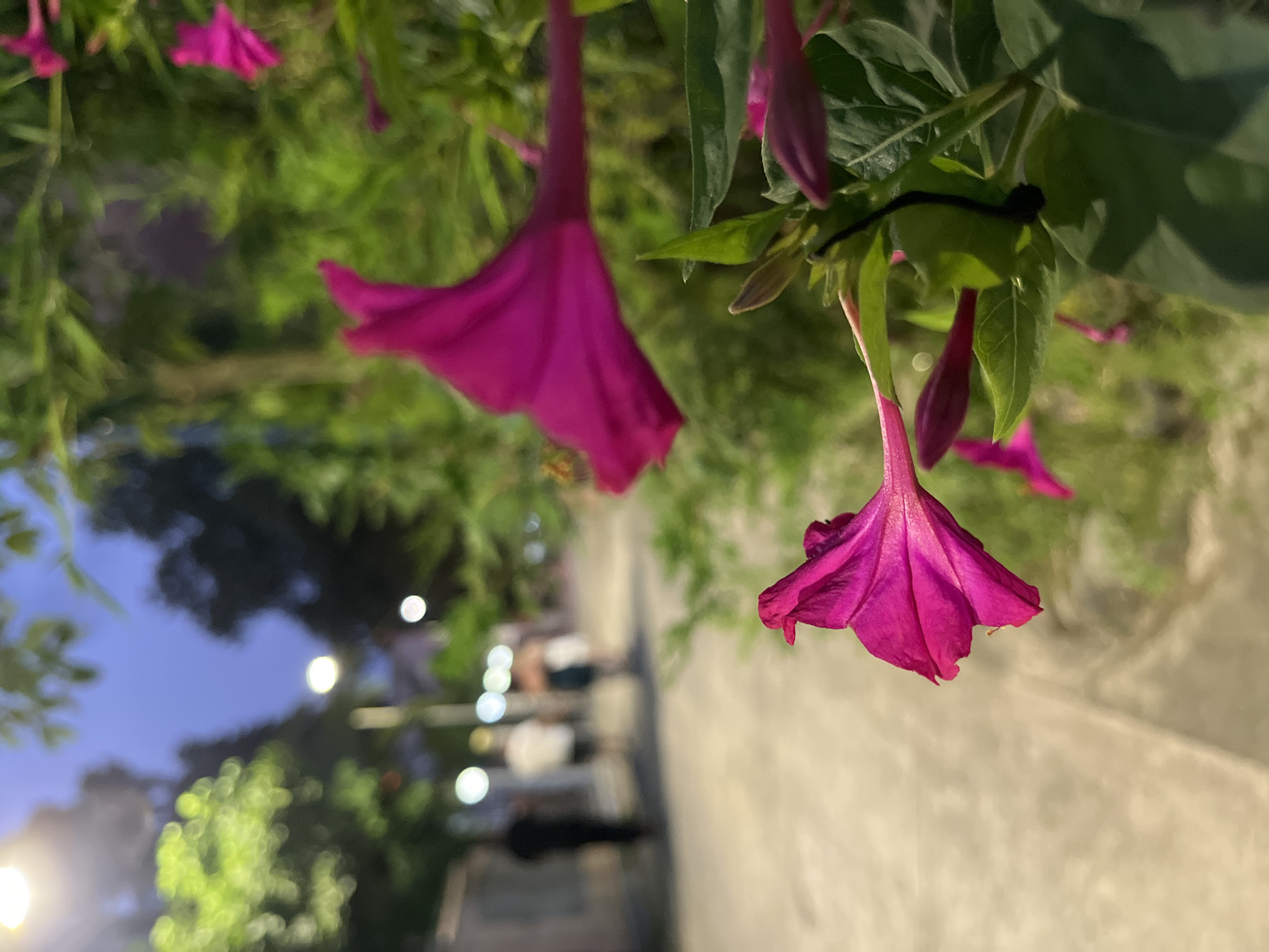 A late afternoon to rainy evening stroll through Ureki, Georgia