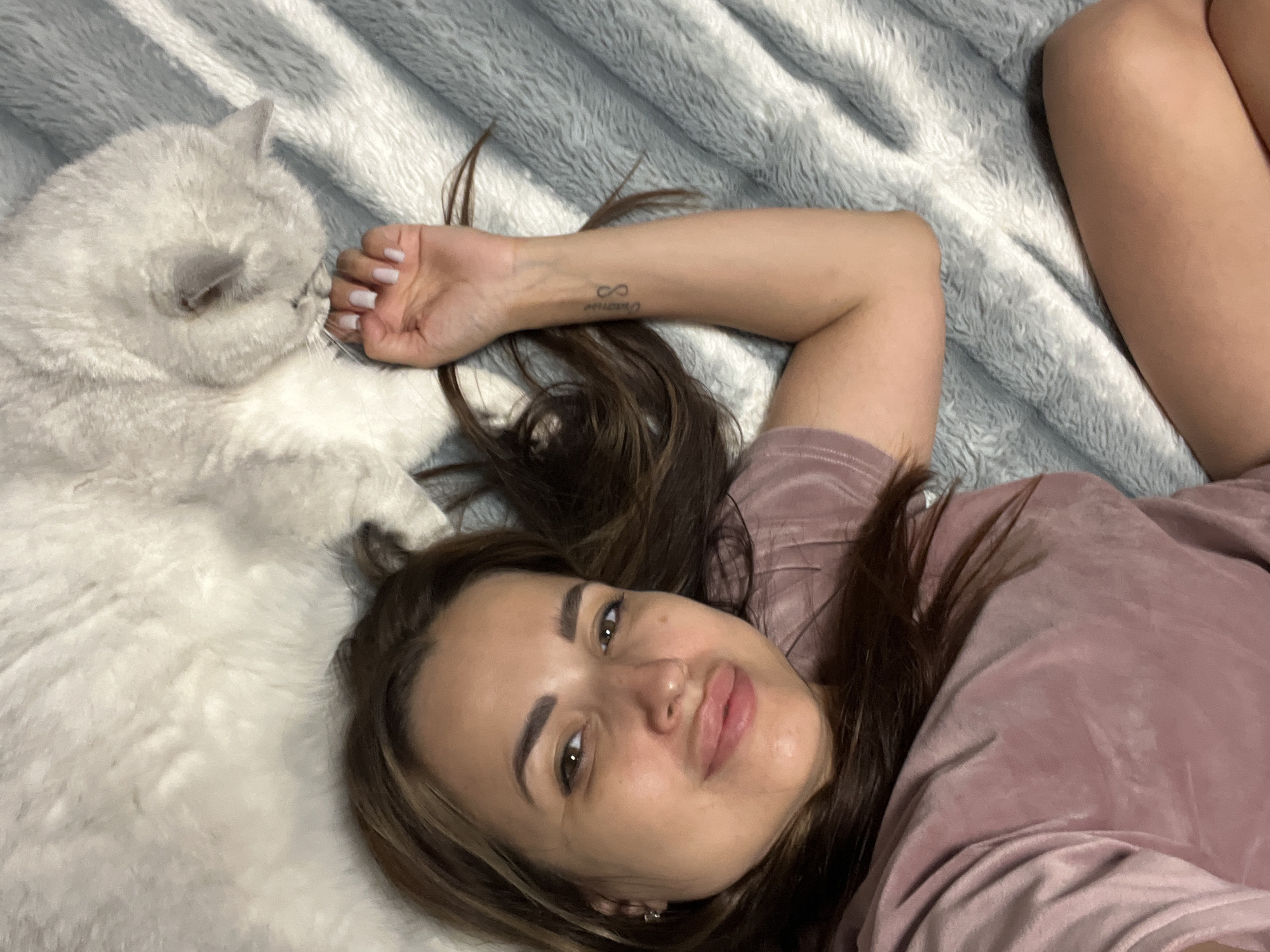 Relaxed afternoon nap time with a fluffy gray-white cat