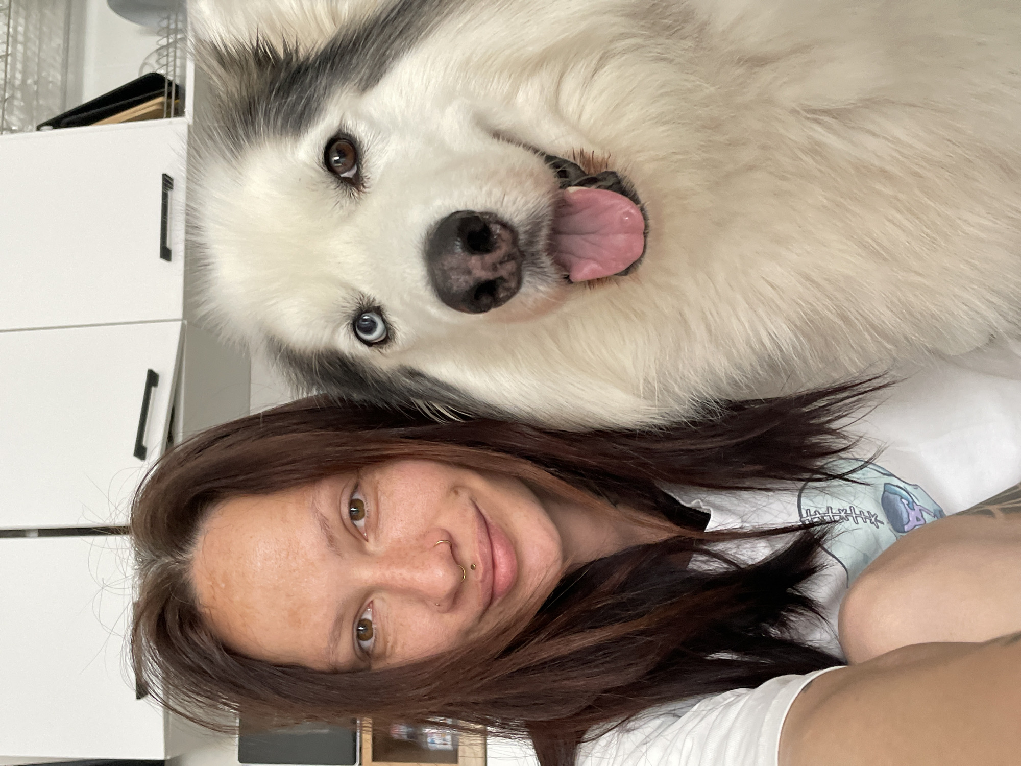 Woman photographs selfies with husky in Pervomaysky, Russia