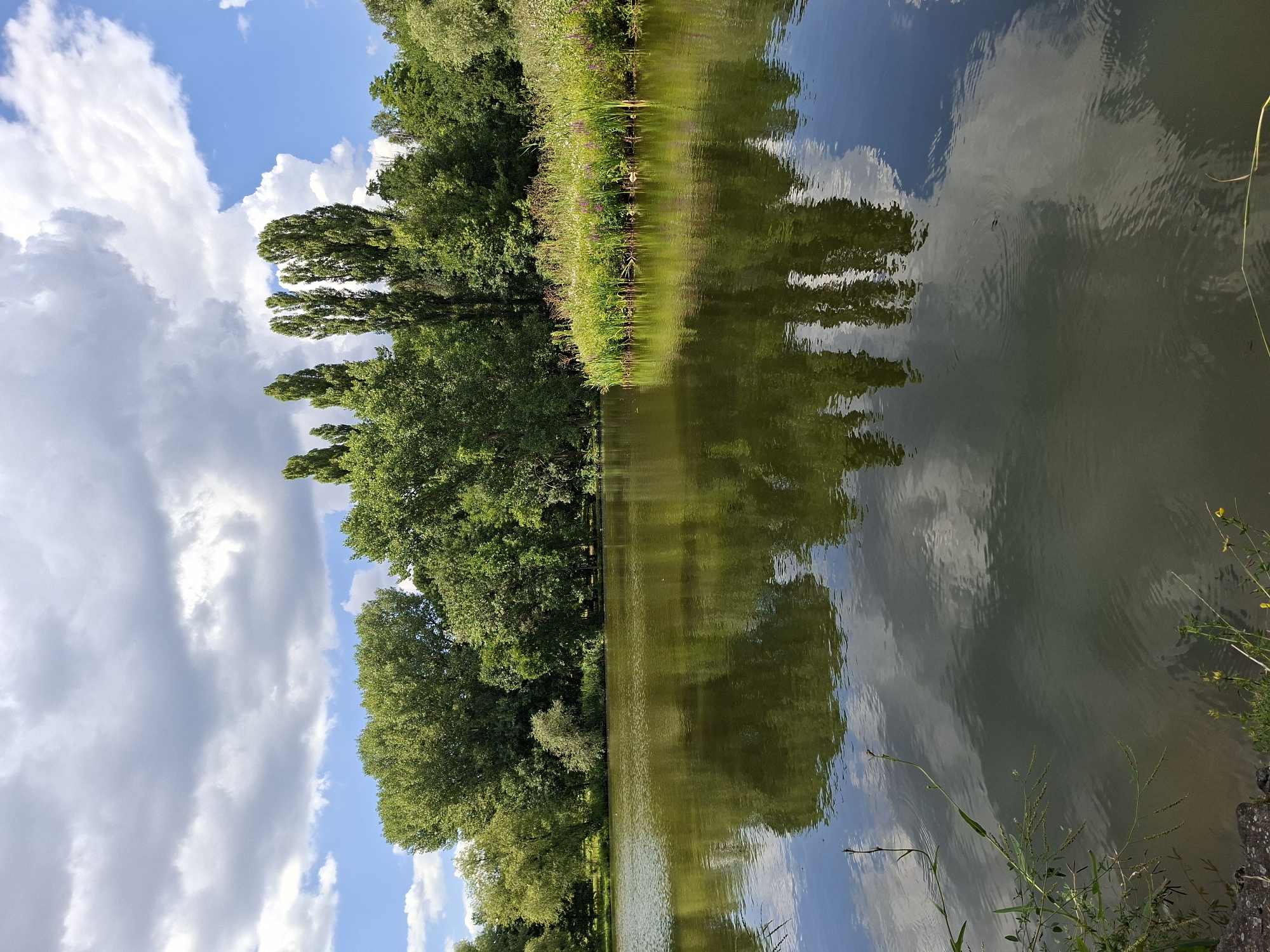 Chișinău park: lakes, lily ponds, stone paths, and outdoor sculptures