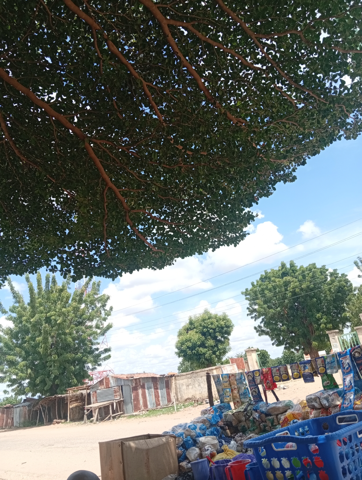 Street market activity along a shaded road in Zongoma Kyari