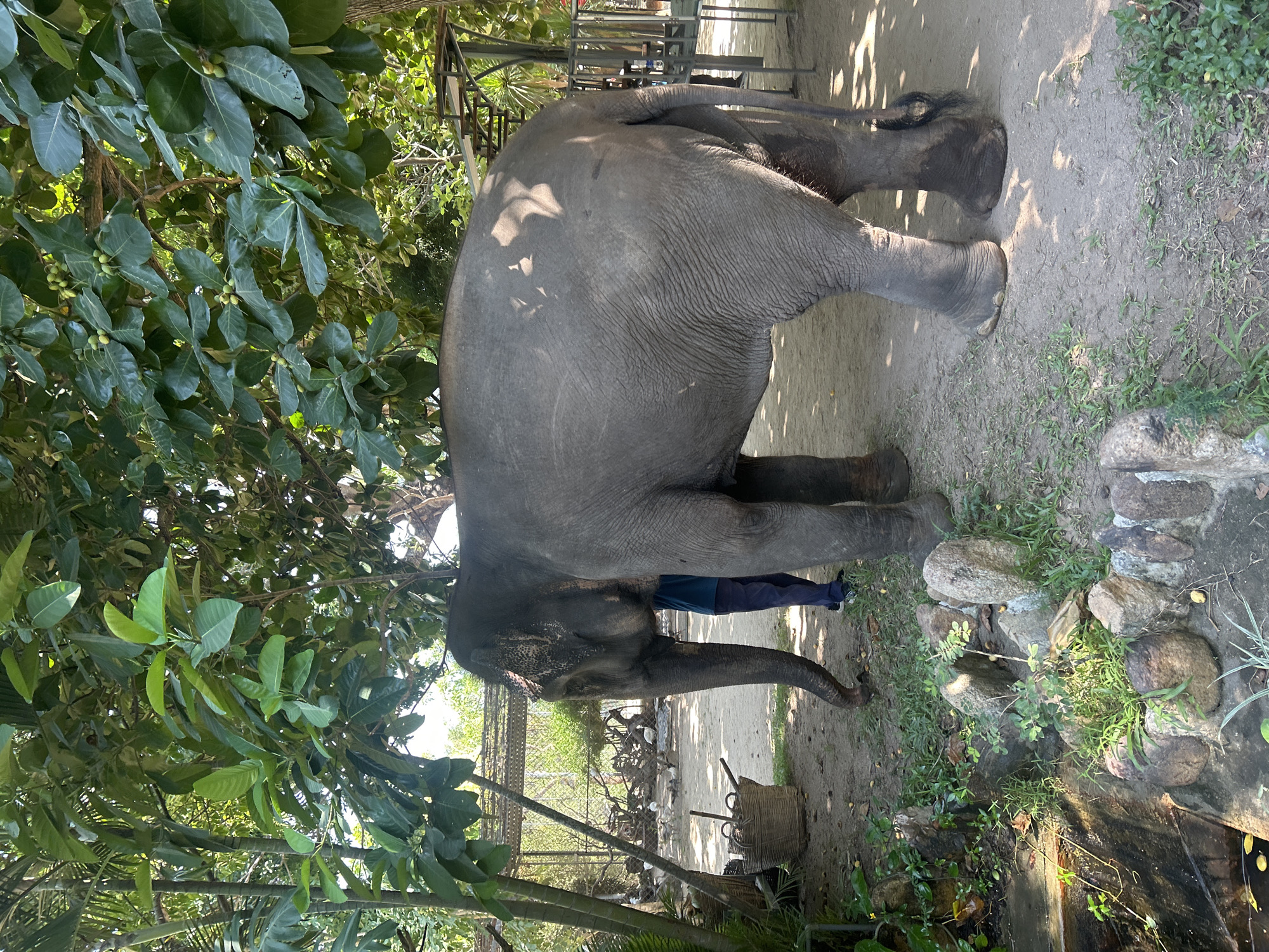 Wildlife park and beach day in Hoa Thang, Vietnam