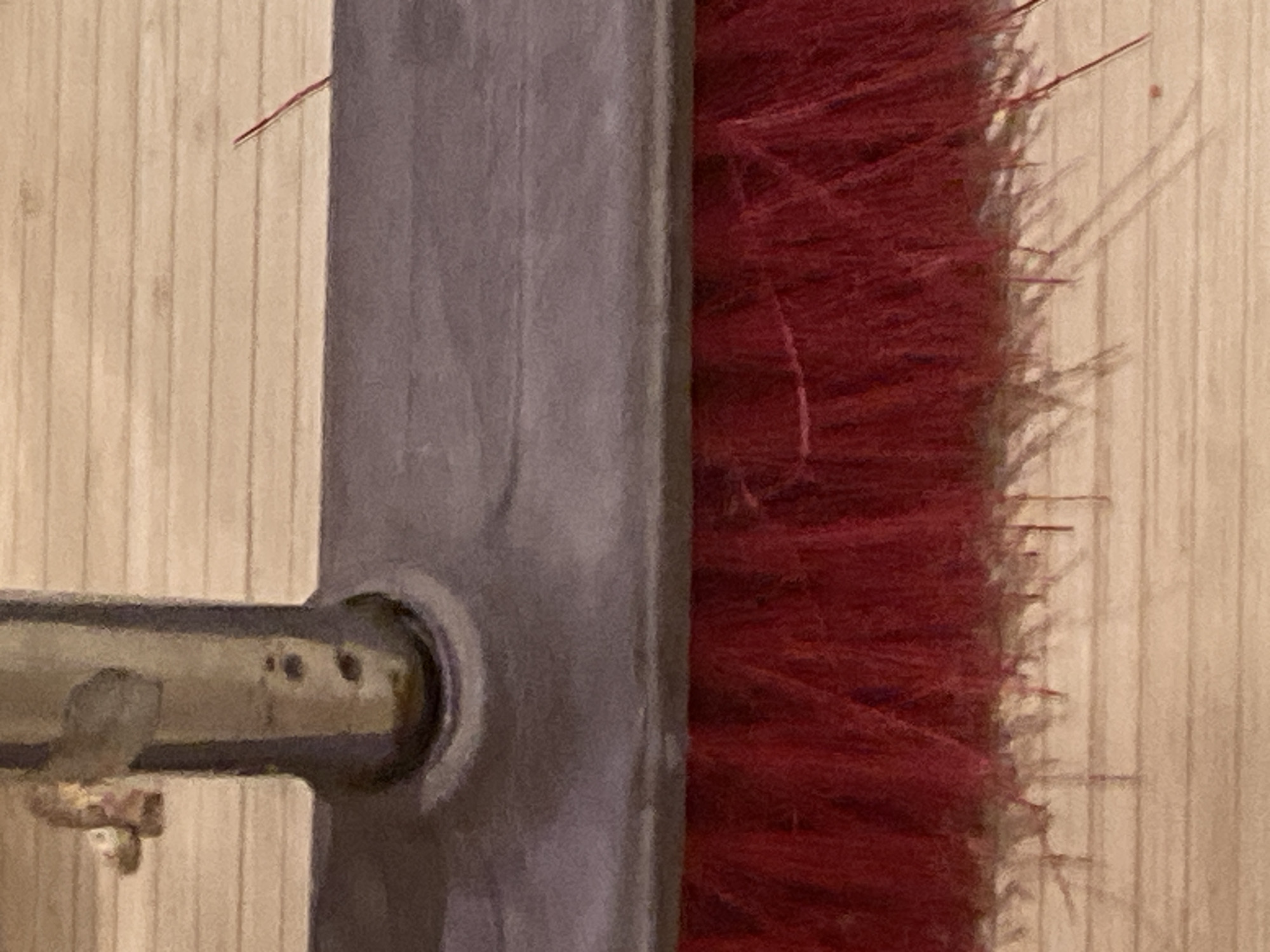 Sofia resident documents household items in detailed close-up imagery