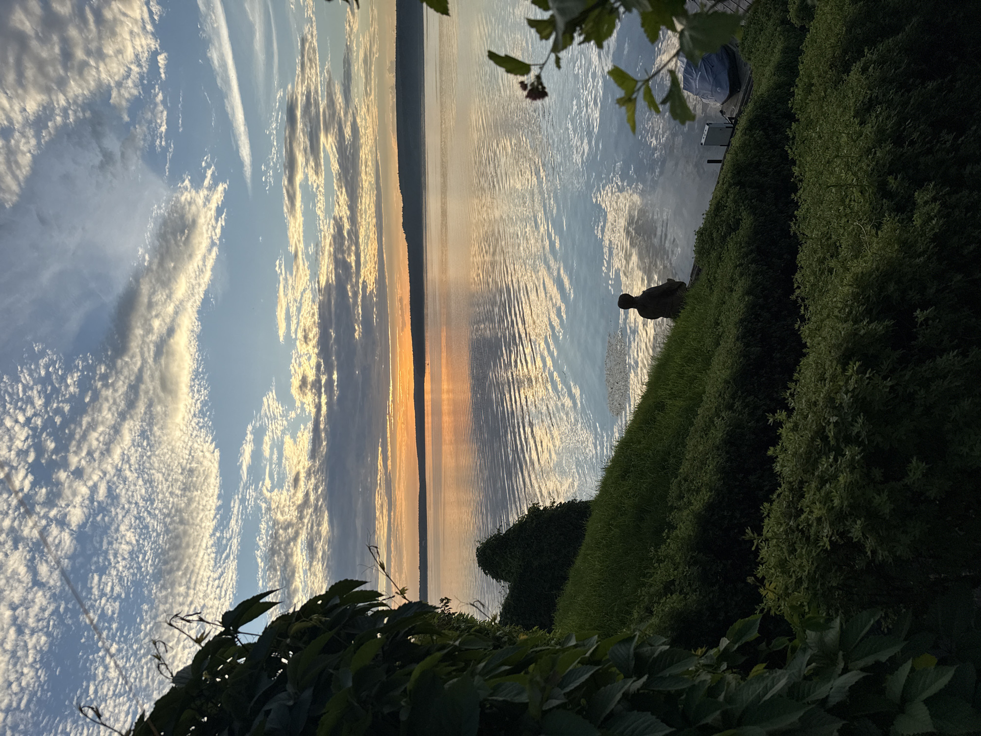 Sunset evening on a Votkinsk lakefront, dog included