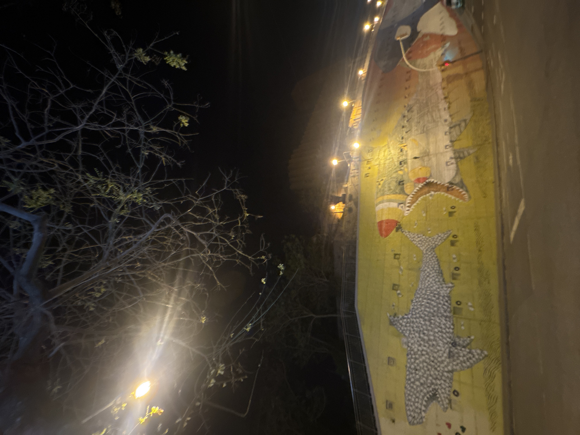 Barcelona nighttime cityscape documented by witness Thursday evening