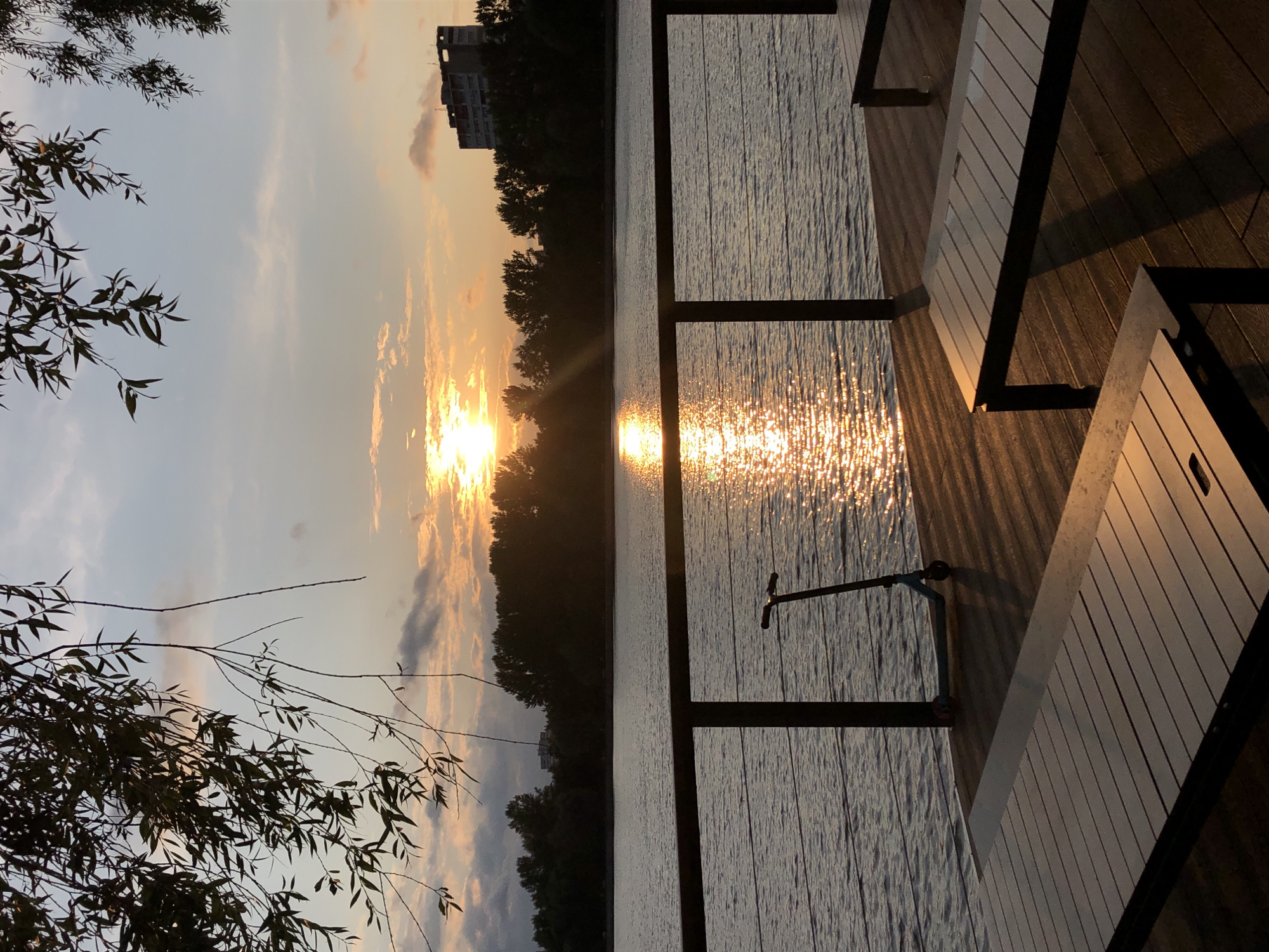 Sunset evening at Khimki Reservoir — fishing, dogs, and waterfront views