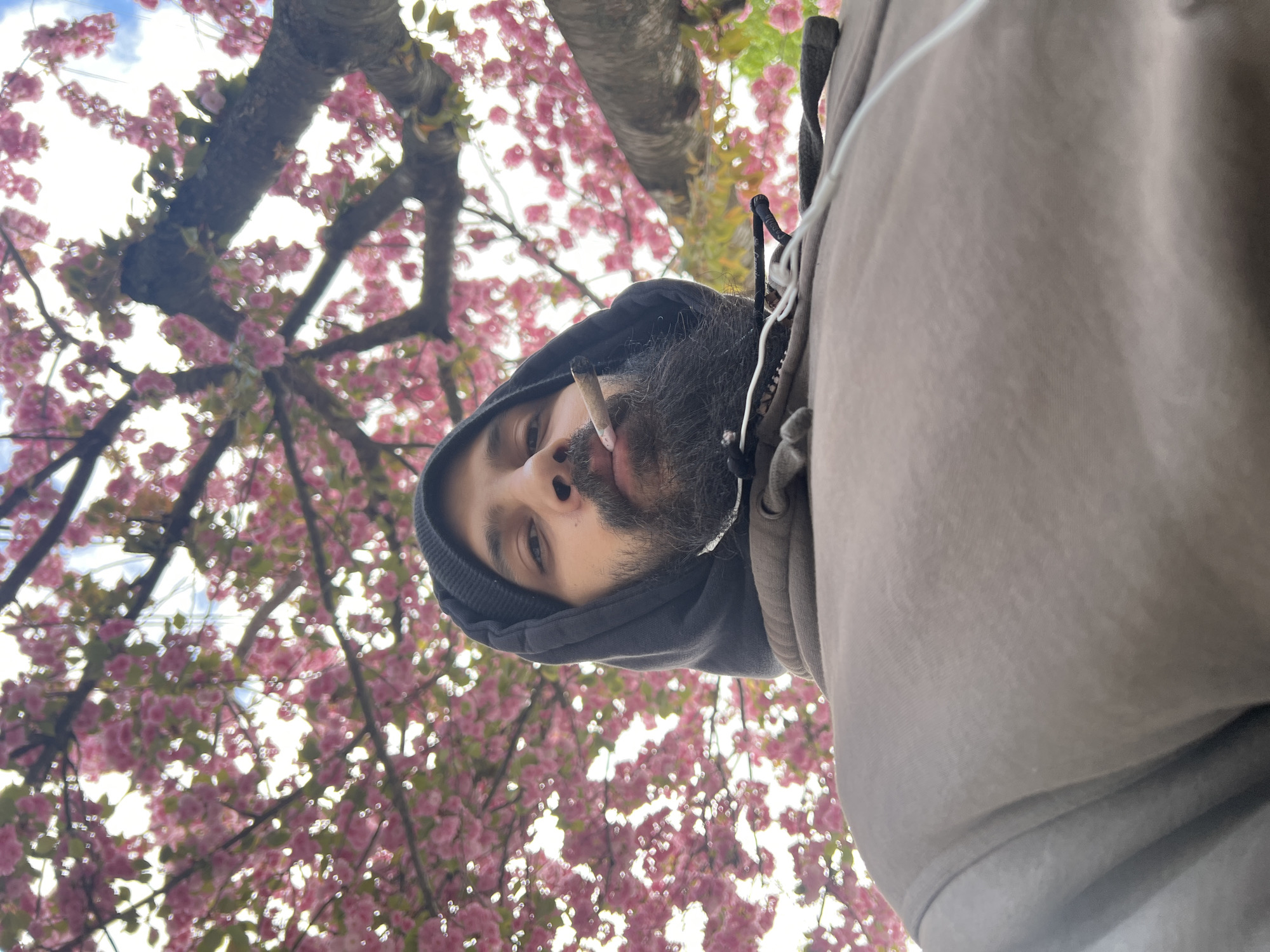 Afternoon walk through Newburgh captured in seven casual moments
