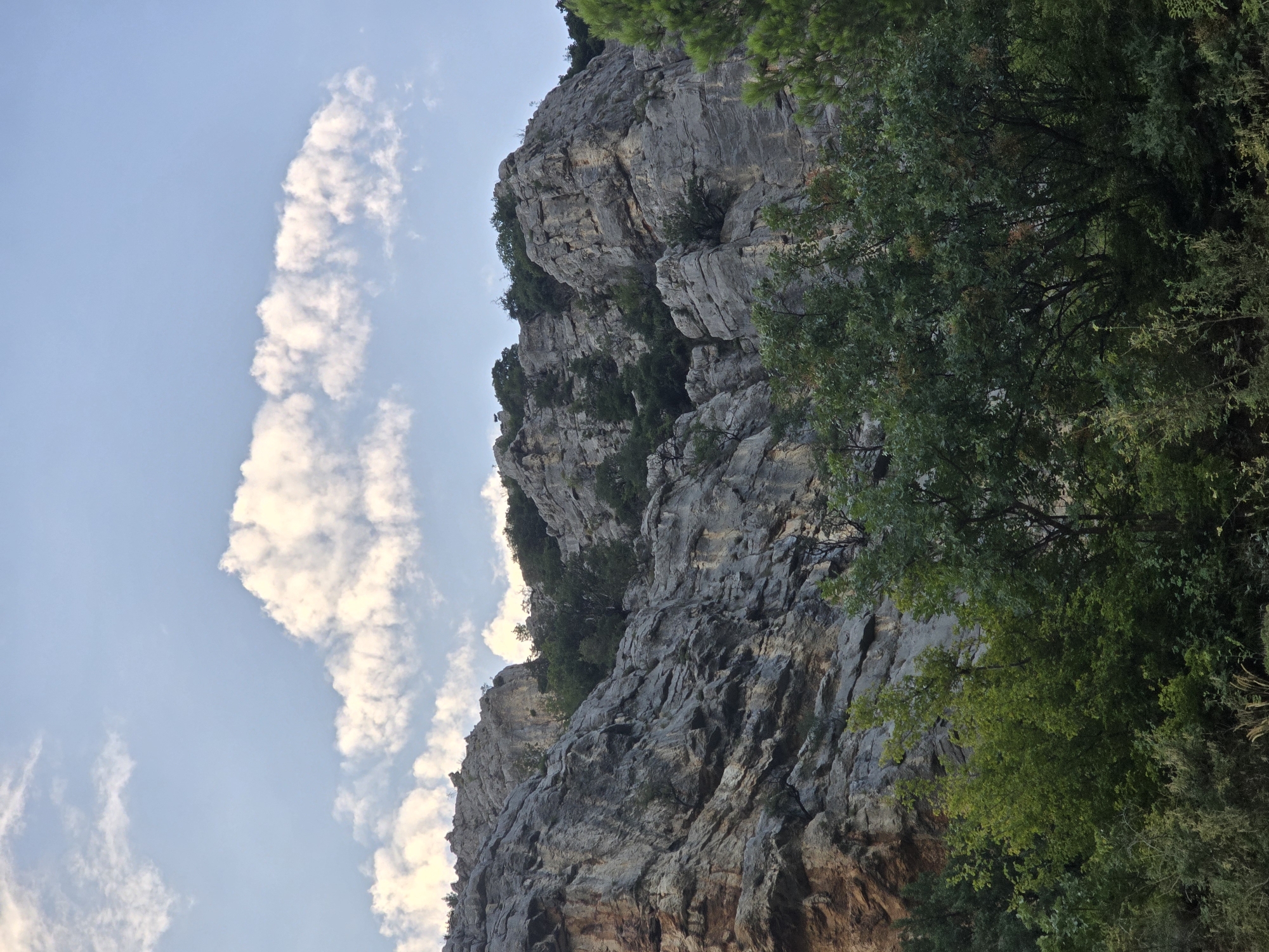 Cats, a dog, and rocky cliffs on a Podgorica afternoon