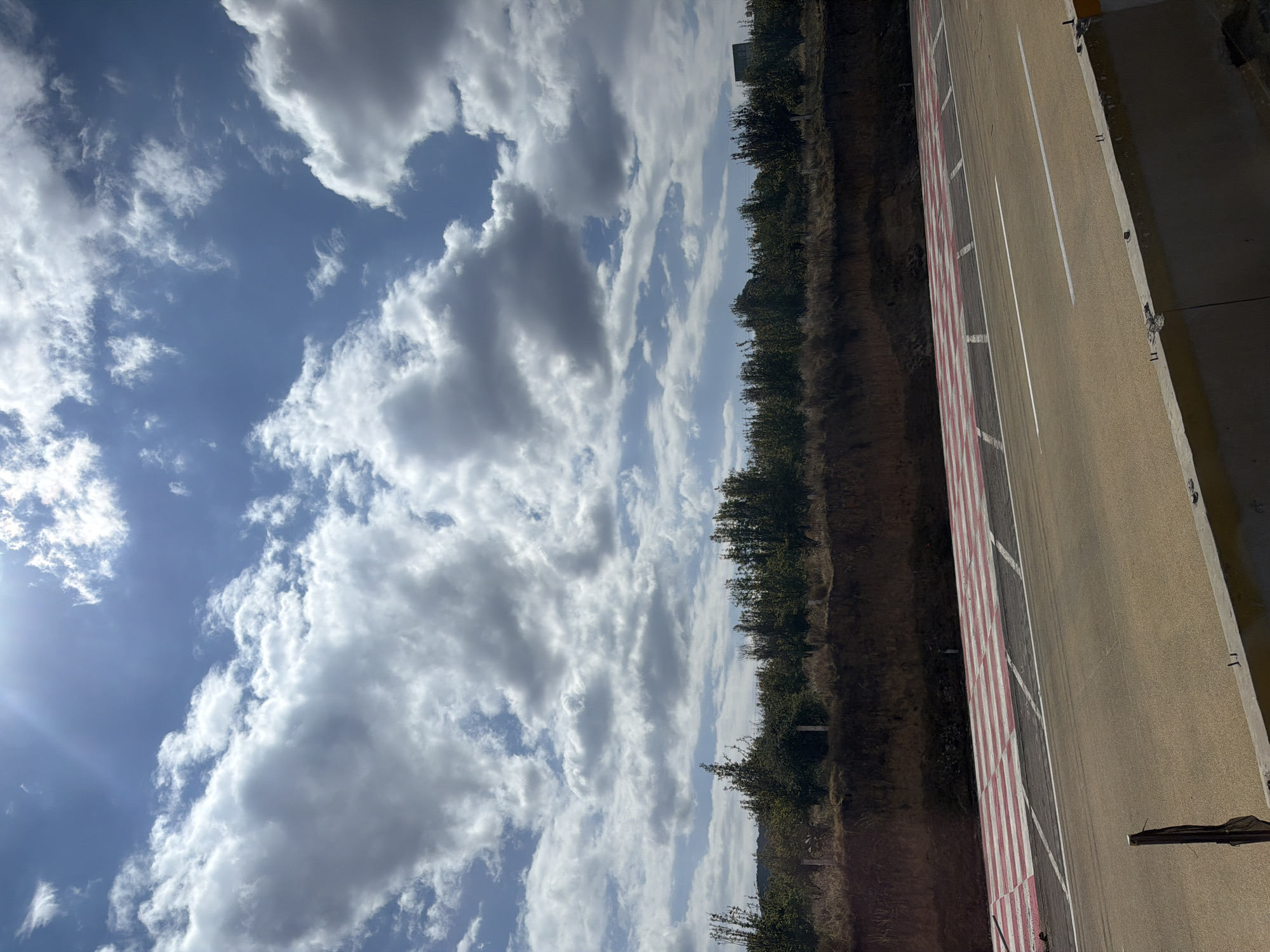 Cloudy sky dominates landscape view with treeline separation