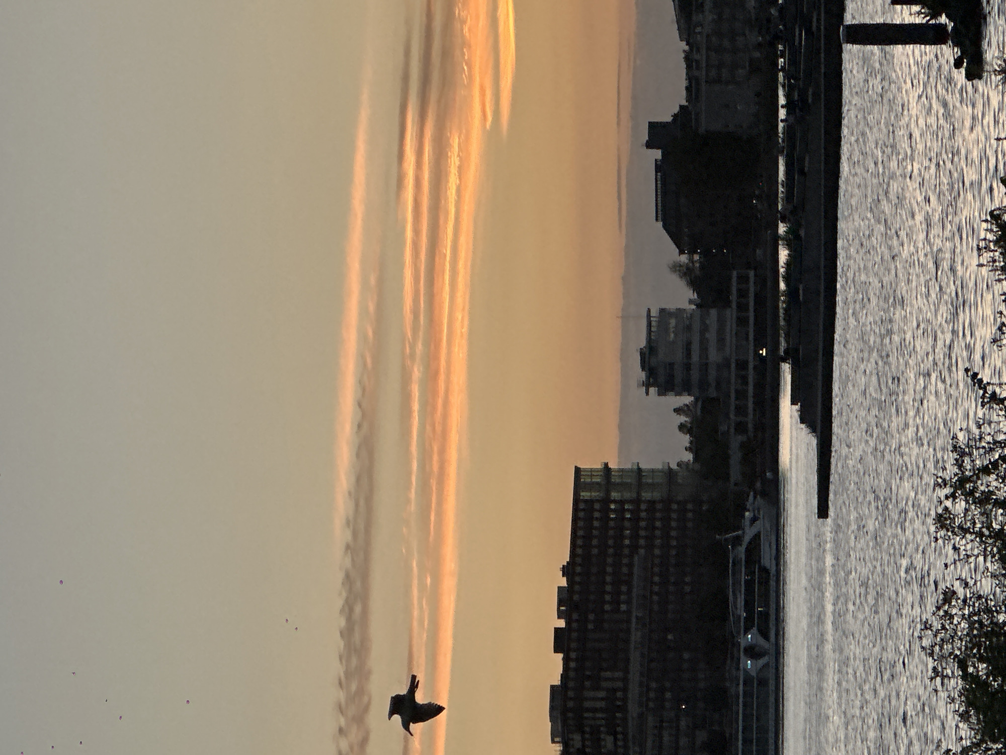 Dusk along the IJ waterfront near A'DAM Toren