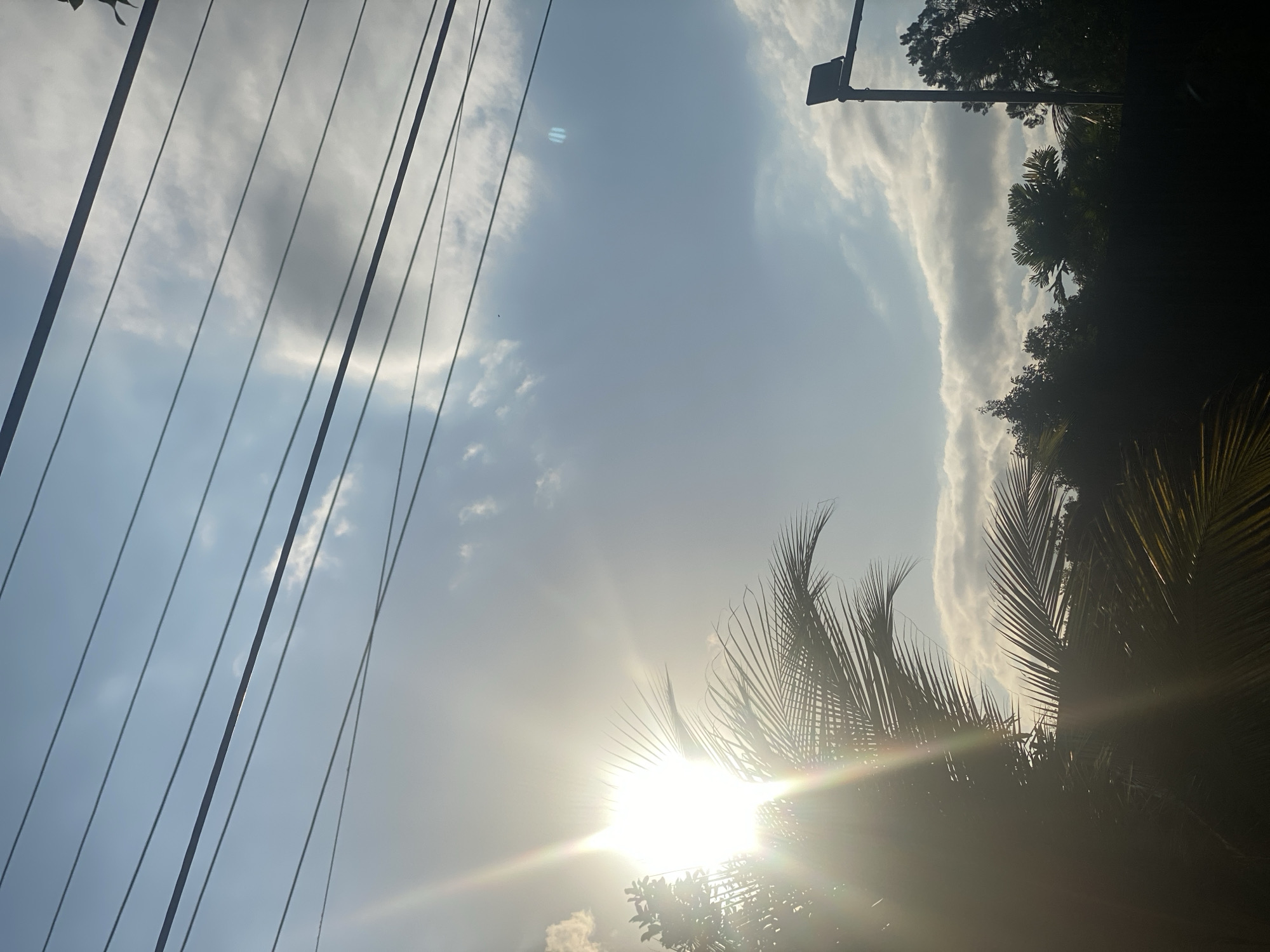 A laid-back Banjarbaru morning: motorcycle rides, skies, and home farming