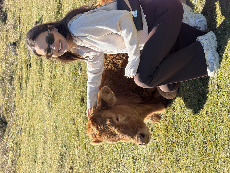 Tourists explore Porto Moniz countryside, interact with cattle