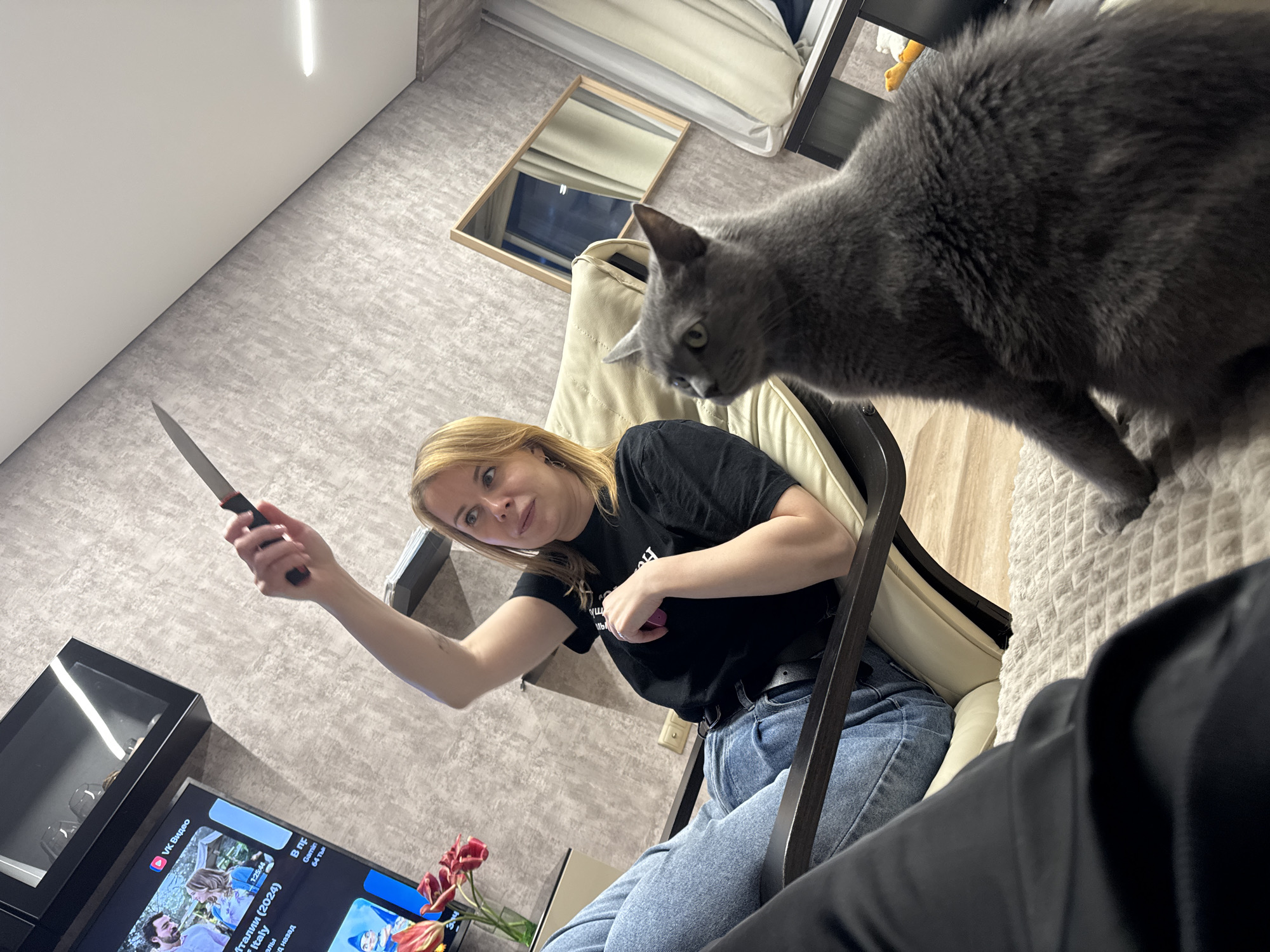 Woman and gray cat captured in domestic indoor scene