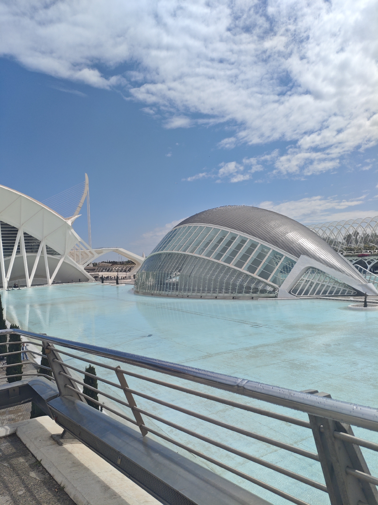 Valencia's futuristic arts complex captured in afternoon observations