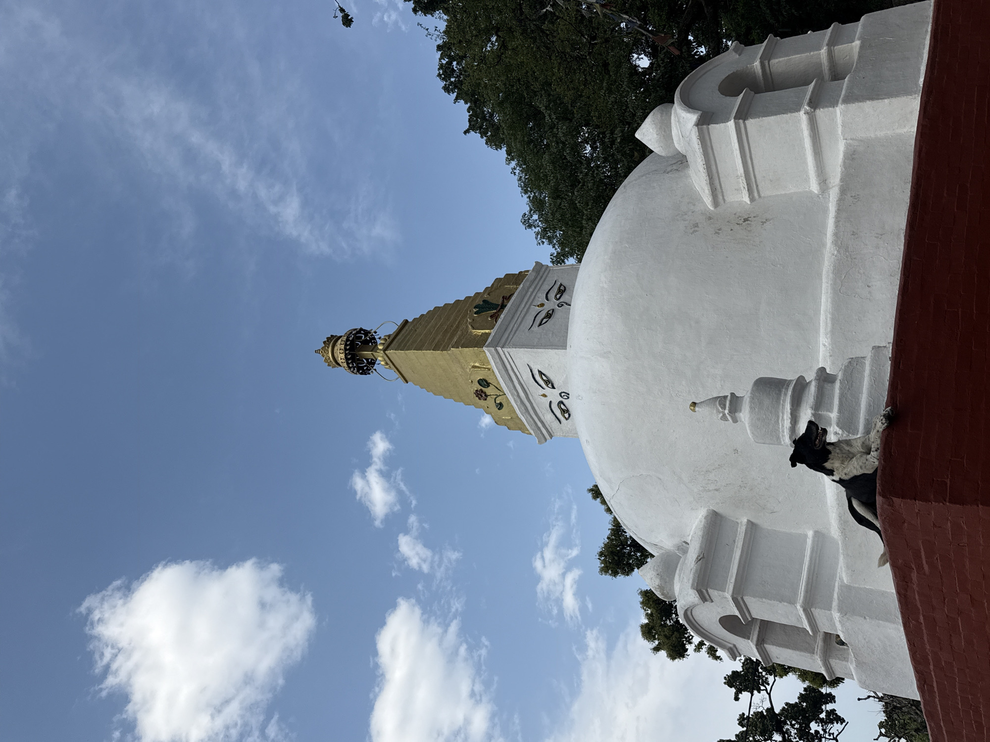 Ordinary moments captured around Kathmandu's Buddhist sites and wildlife