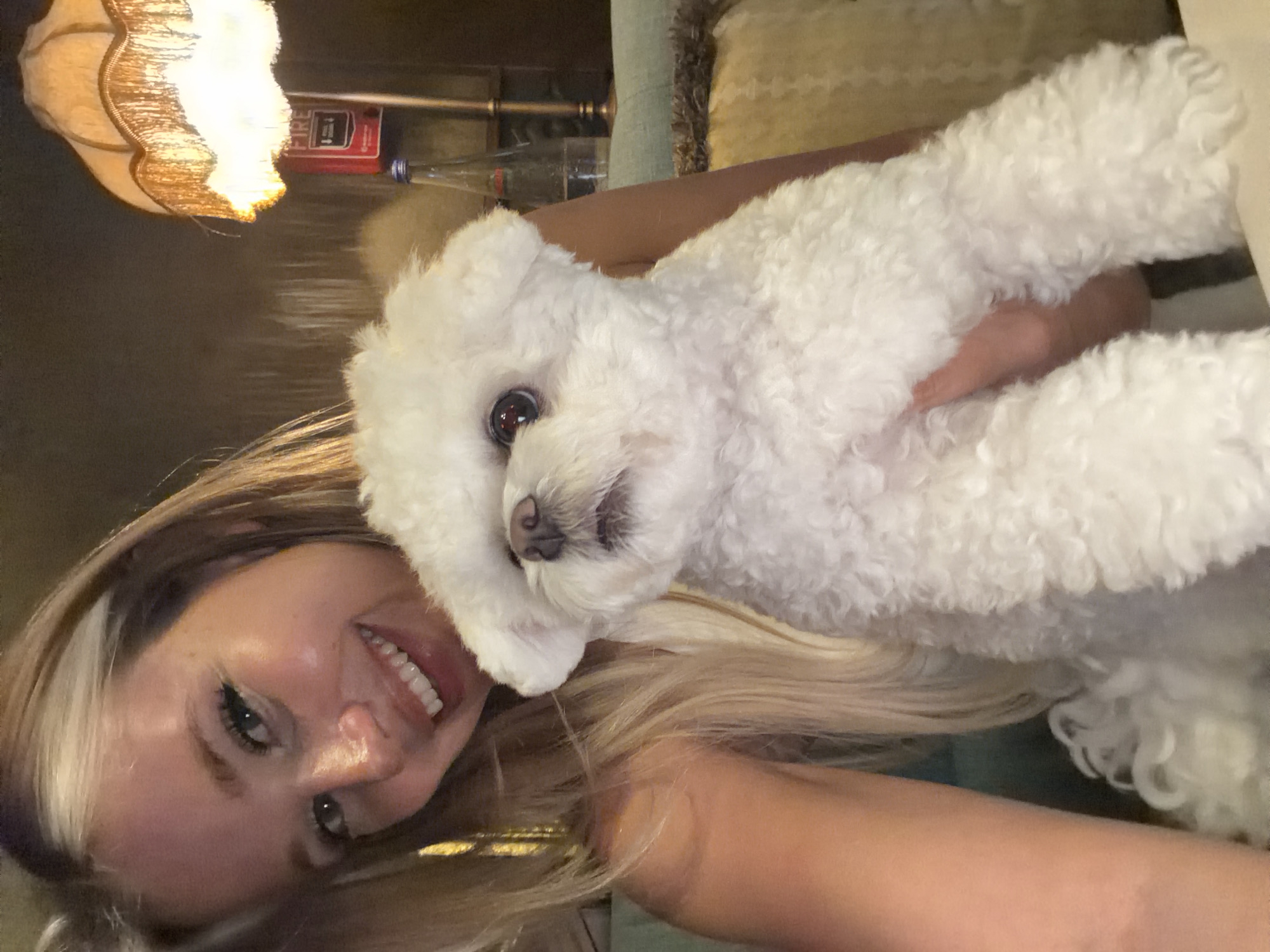 Fluffy white dog held close in Choeng Thale, Phuket