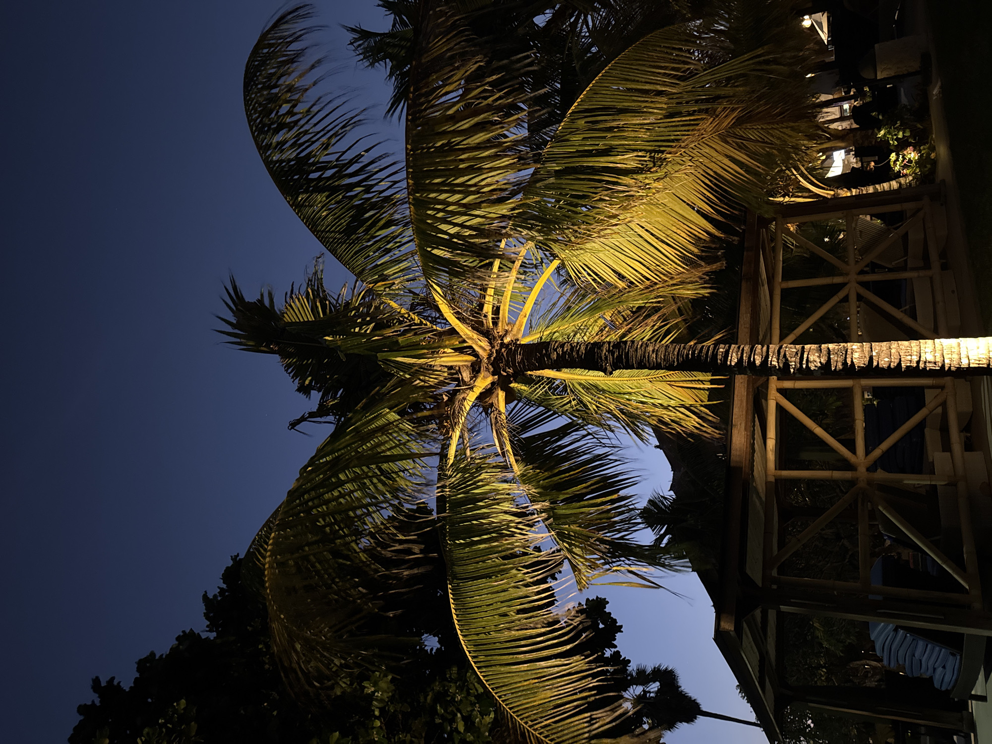 Bali resort at dusk: lit palms, glowing umbrellas, ship offshore