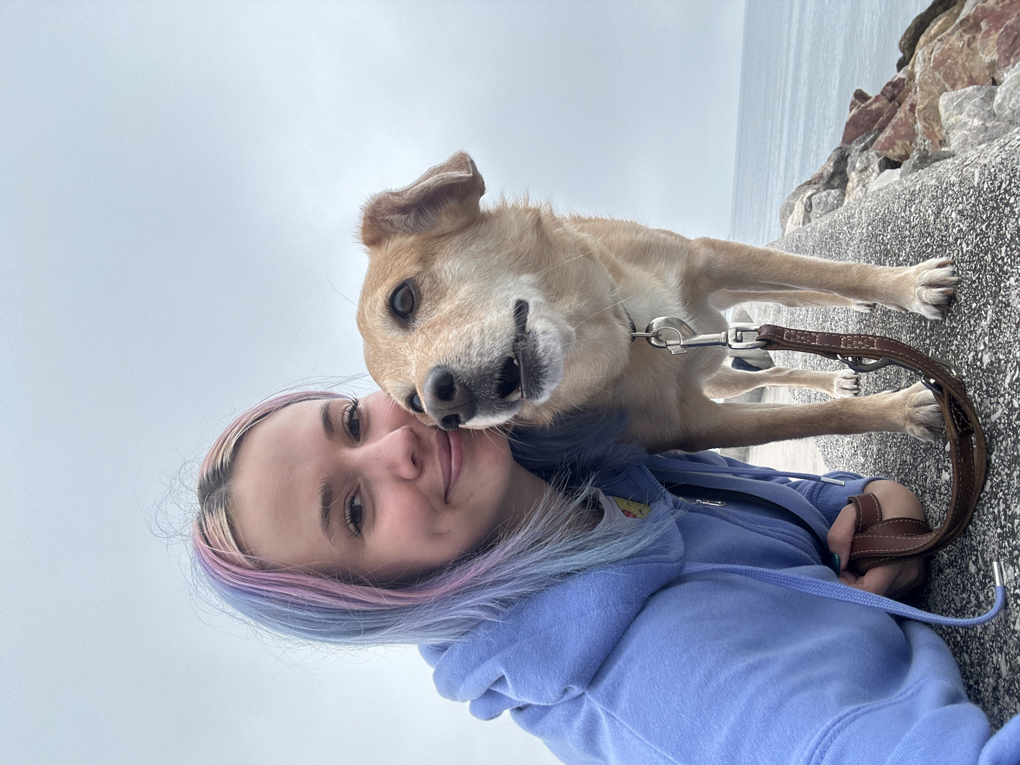 Dog selfies, personal updates, and street art in coastal Gijón