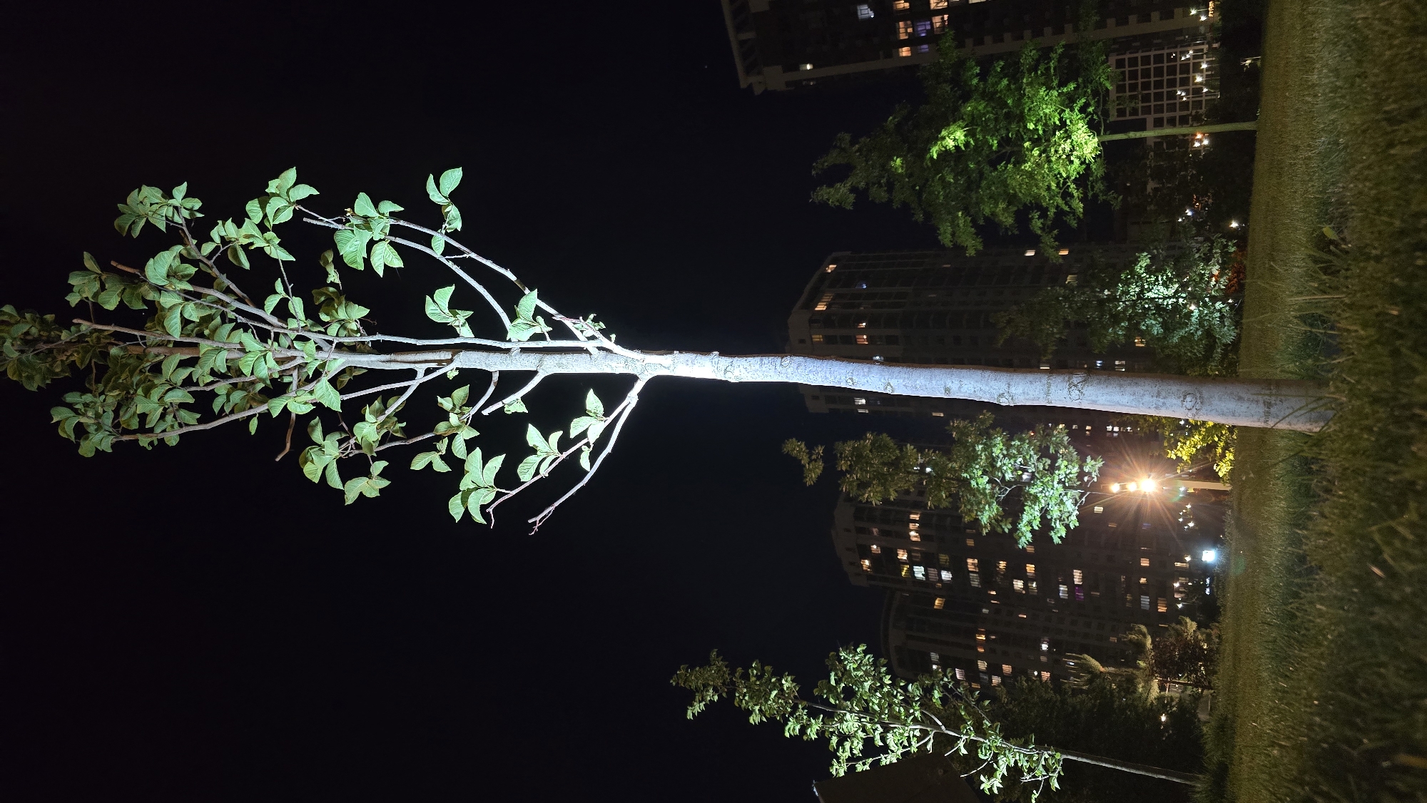Evening stroll through illuminated Kyiv parks and streets documented