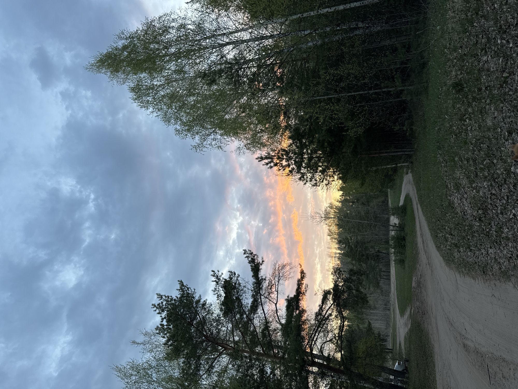 Rural dirt road photographed during sunset in Noviy, Russia