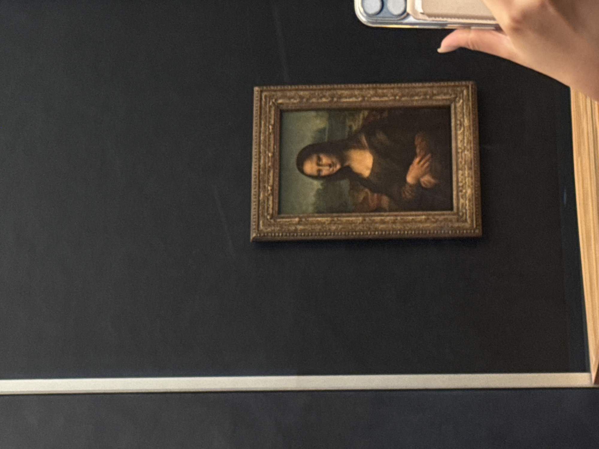 Tourist photographs Mona Lisa at Louvre Museum