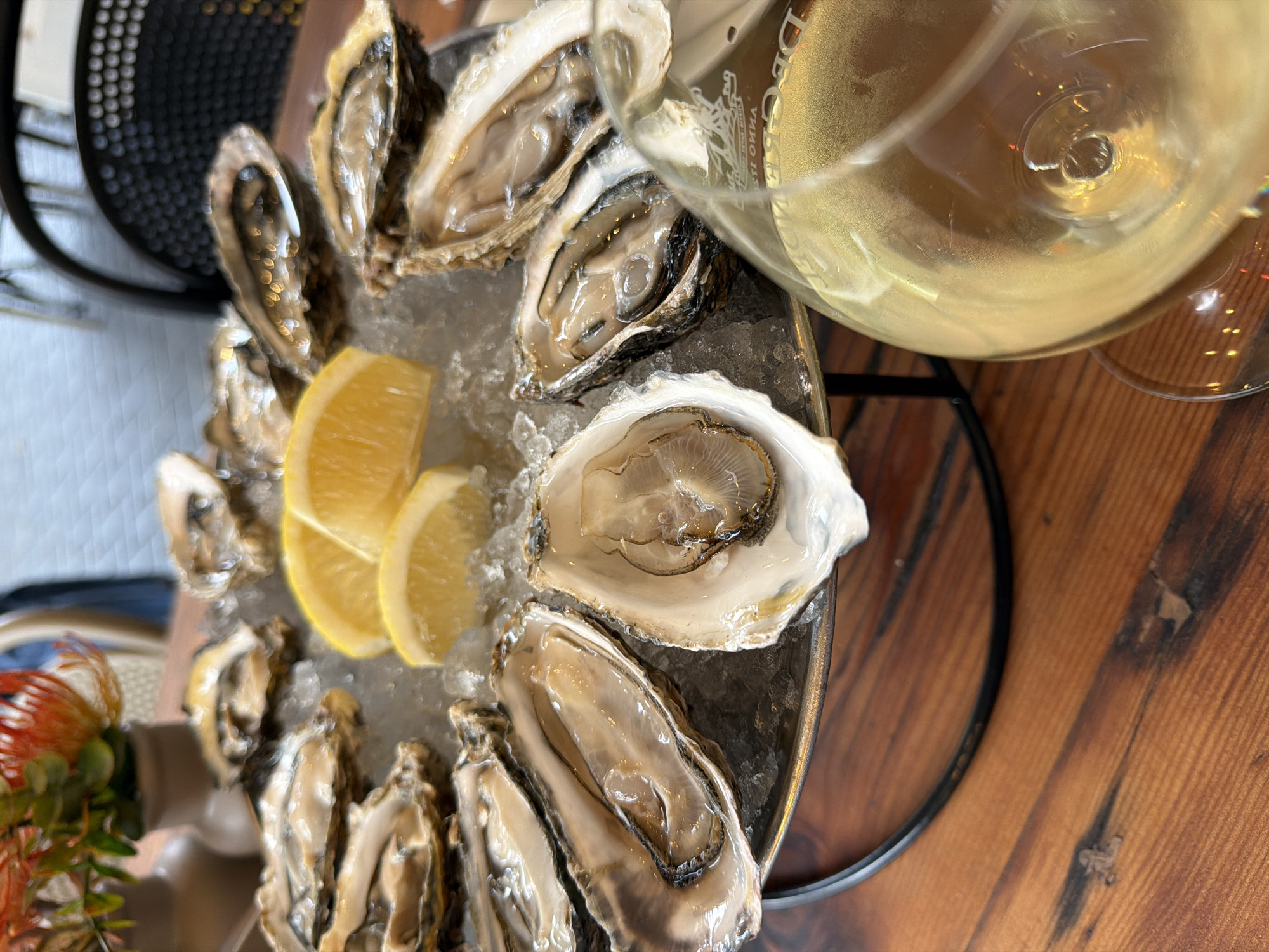 Fresh oysters served on ice documented in Cape Town