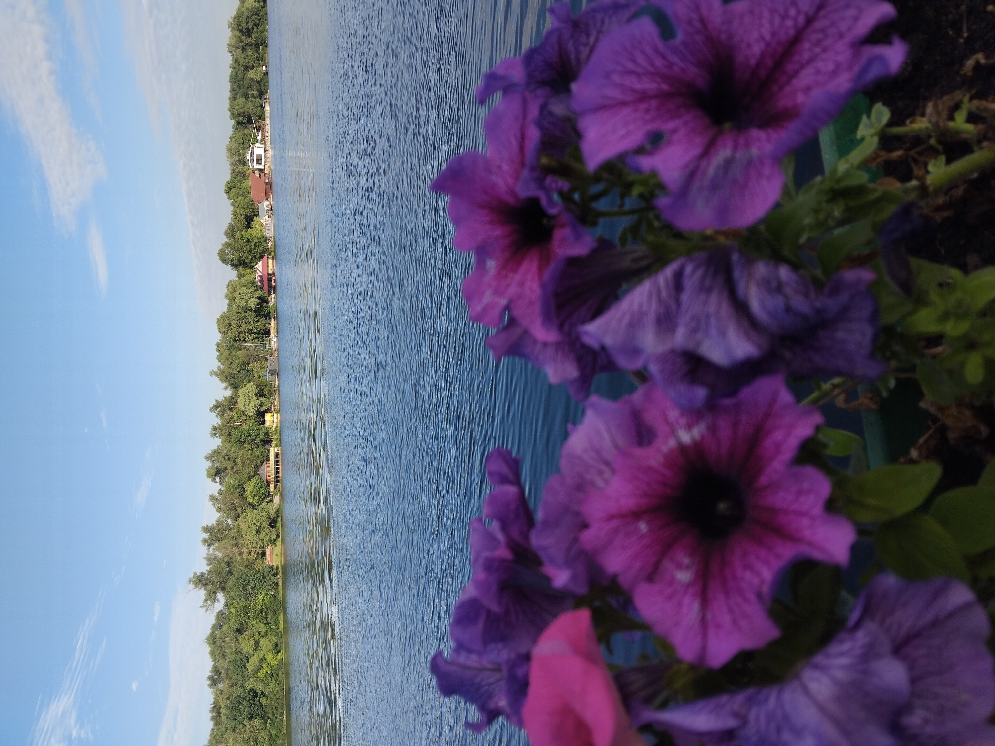 A quiet morning walk along Kyiv's riverfront in bloom