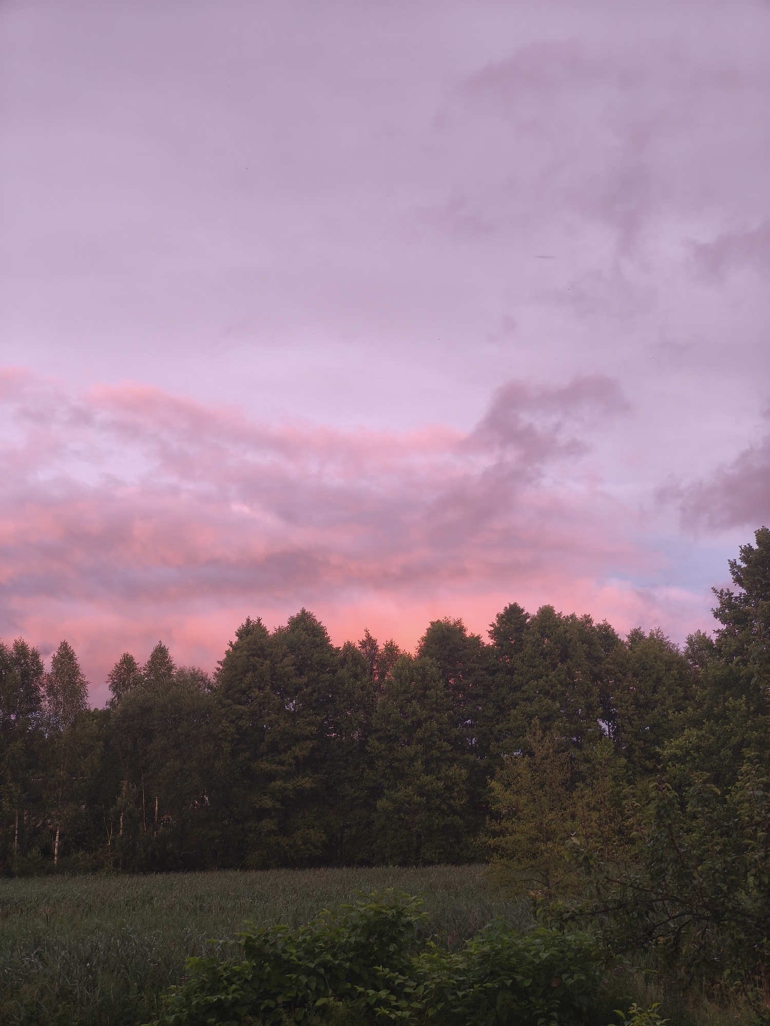 Sunset over rural fields and treelines in Belarus