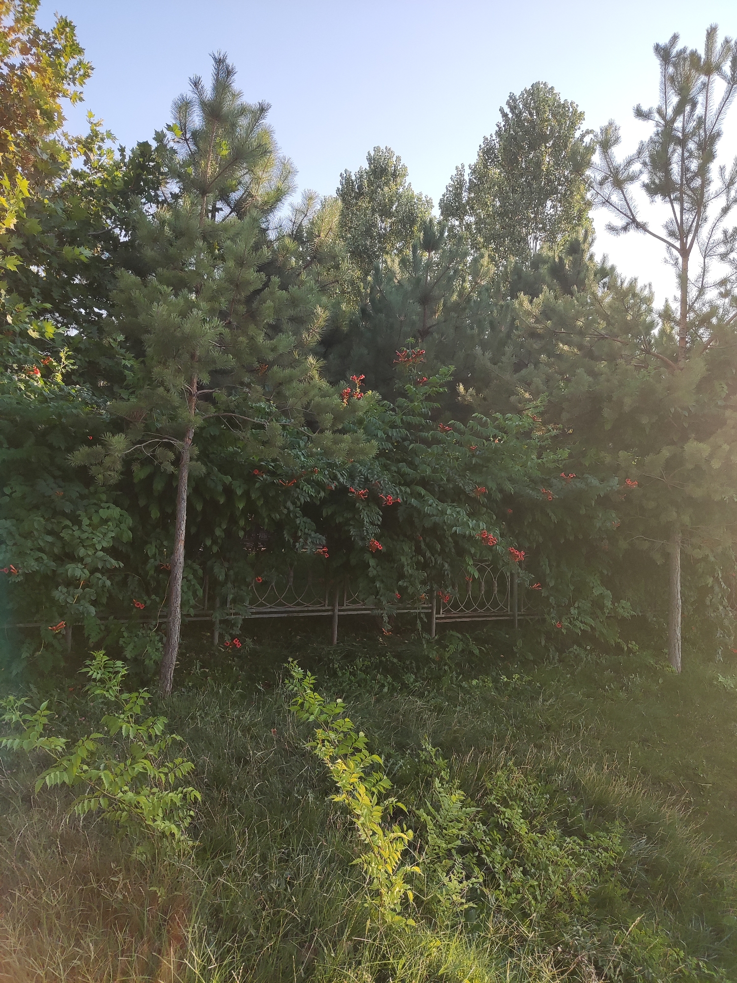 An afternoon in Shymkent's parks, plazas, and streets