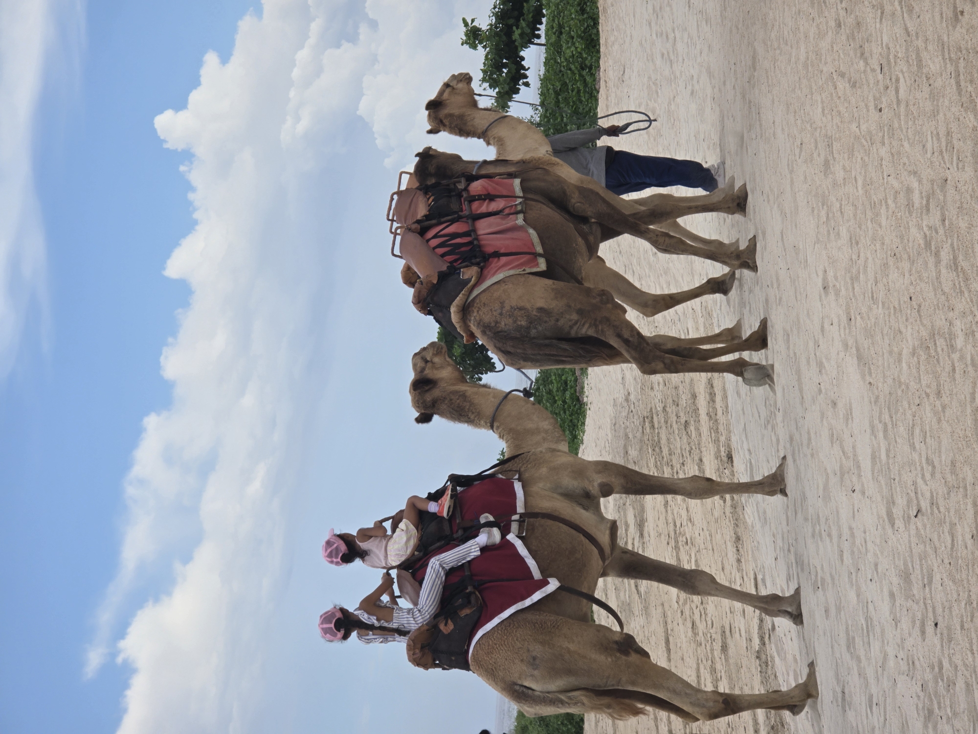 Morning beach activities include camel rides, beachgoers in Indonesia