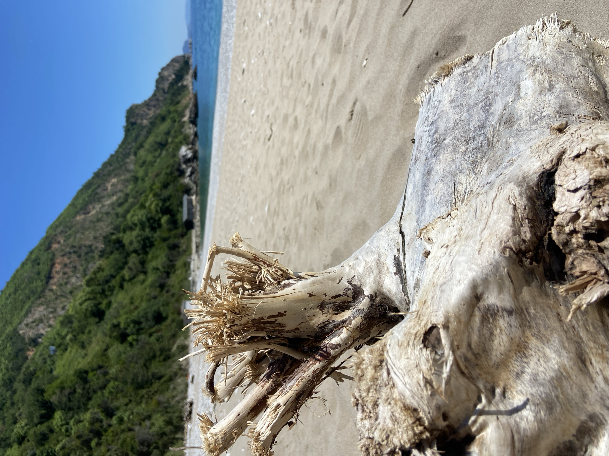 Coastal documentation captures driftwood, construction debris in Prijevor, Montenegro