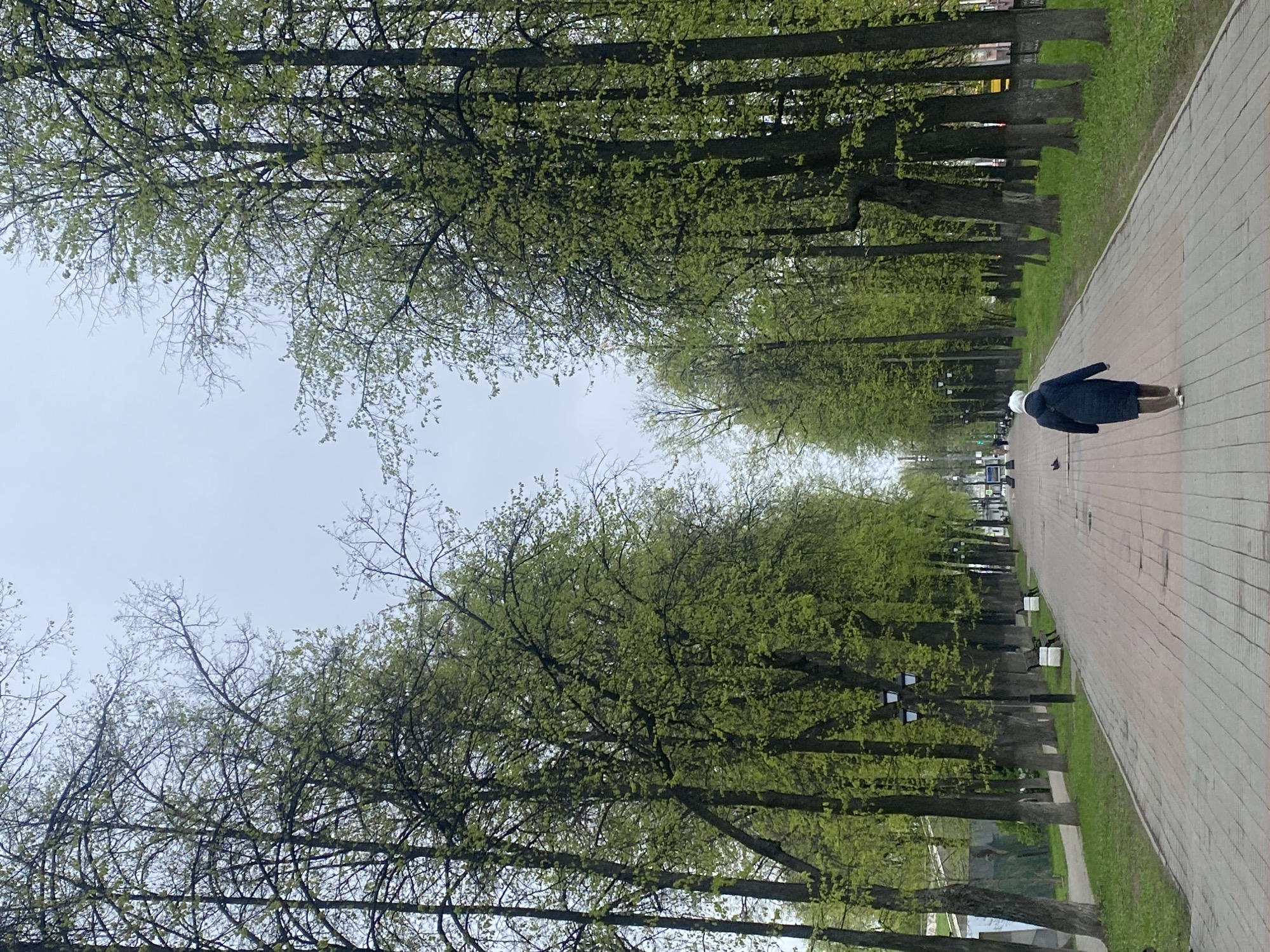 Morning scenes captured across Заволжье show typical city life