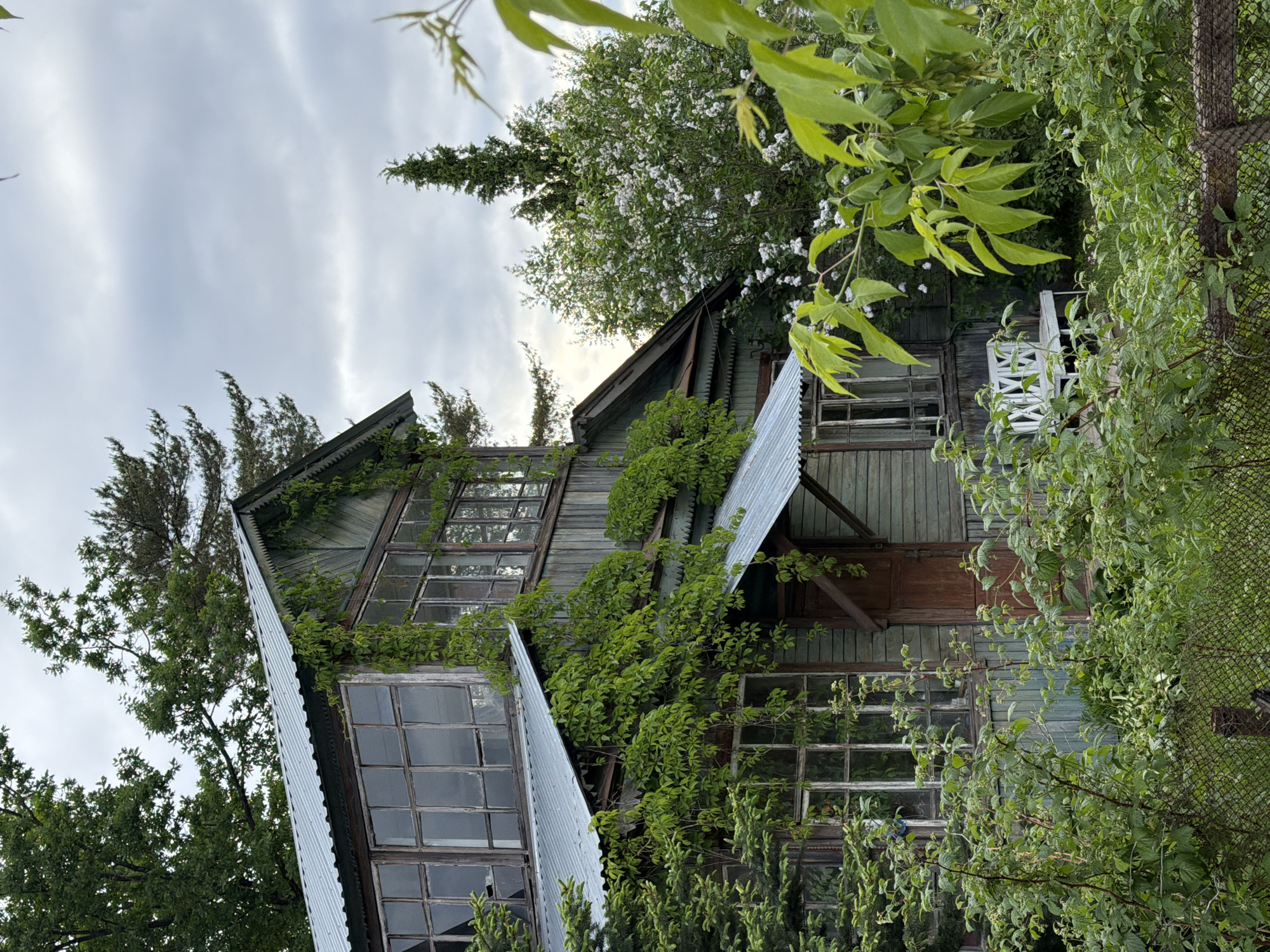 Weathered buildings and overgrown vegetation documented by witness